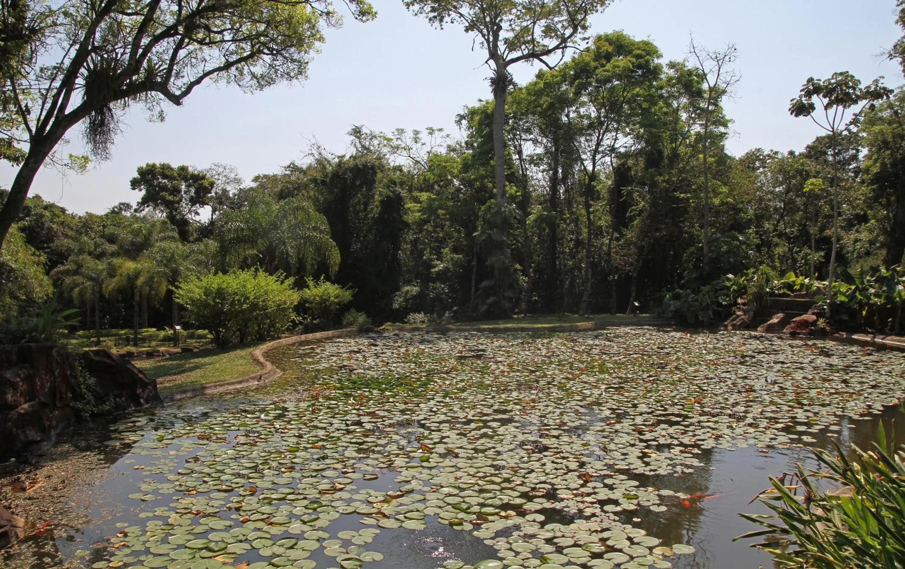 Lake view in Iguazú Grand Resort Spa & Casino
