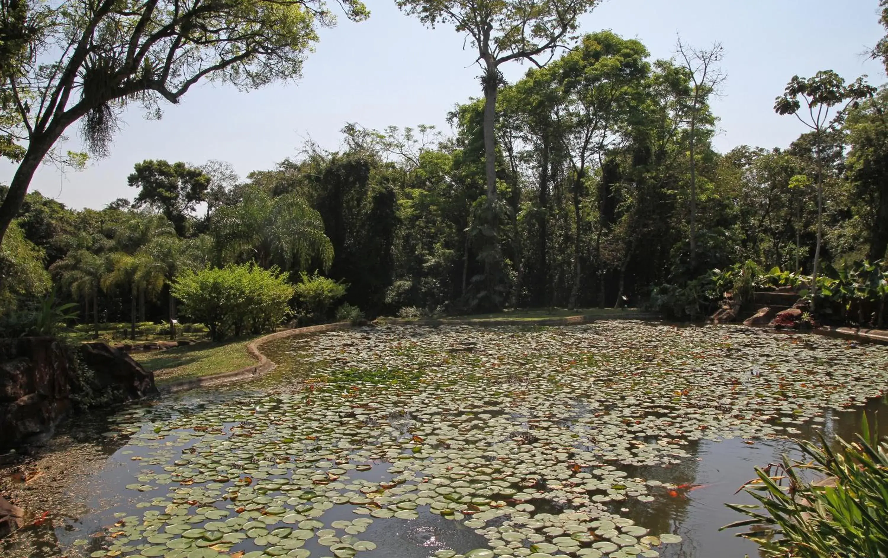 Lake view in Iguazú Grand Resort Spa & Casino Lake view in Iguazú Grand Resort Spa & Casino