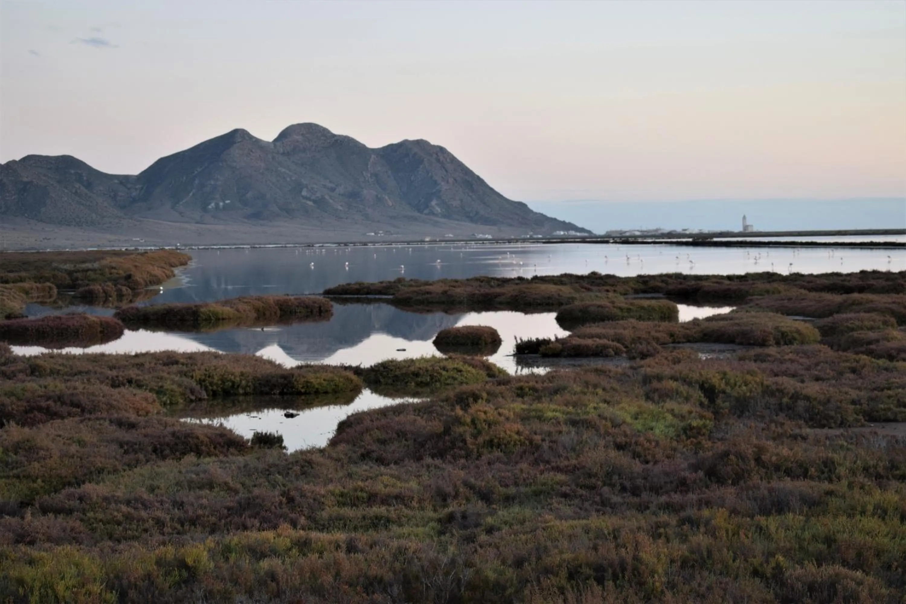 Cortijo La Molina de Cabo de Gata