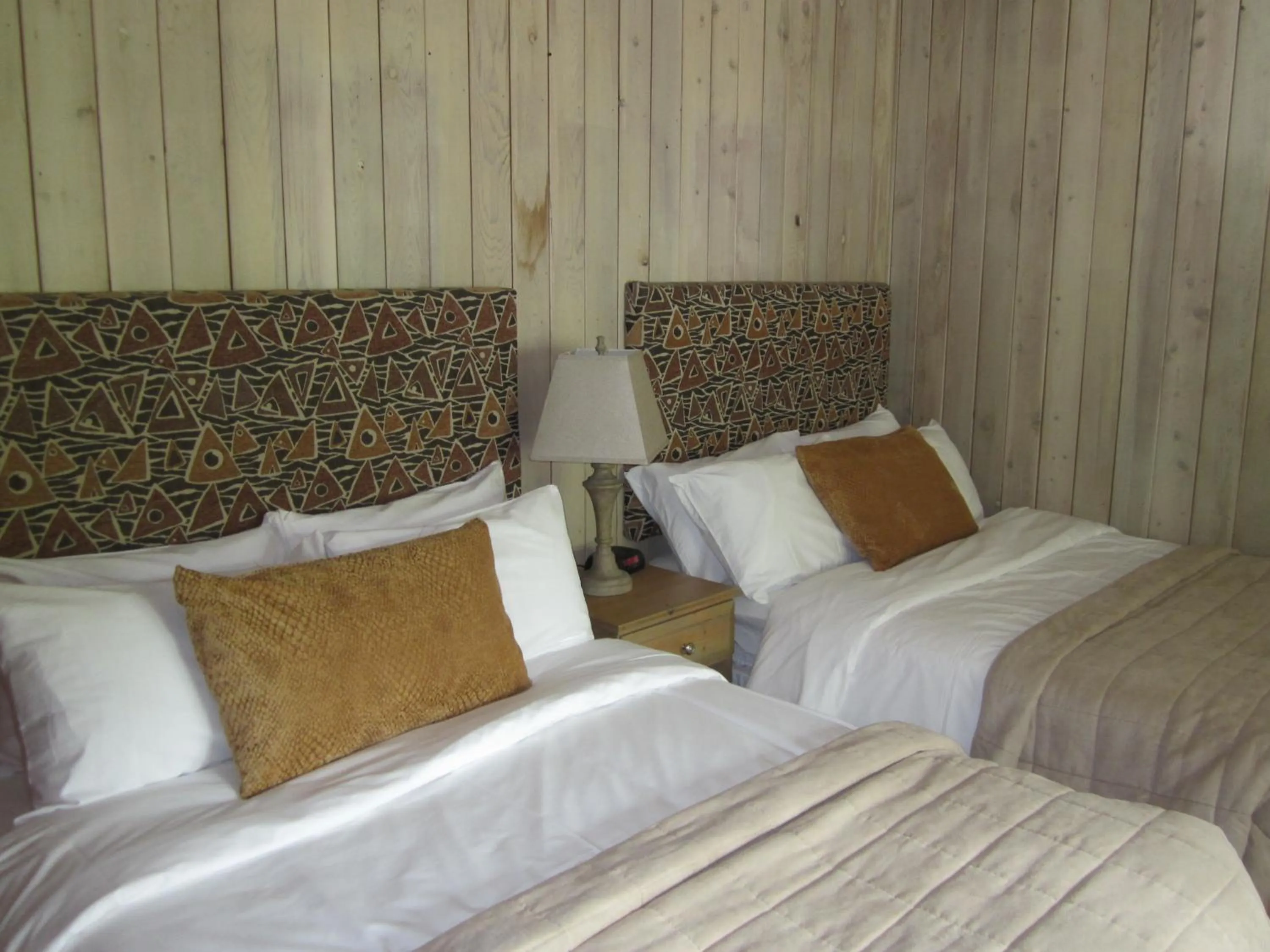 Bed in The Surf Lodge and Pub