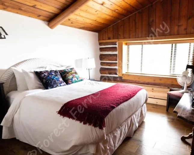 Bed in The Surf Lodge and Pub