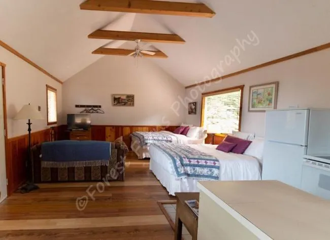 Bed in The Surf Lodge and Pub