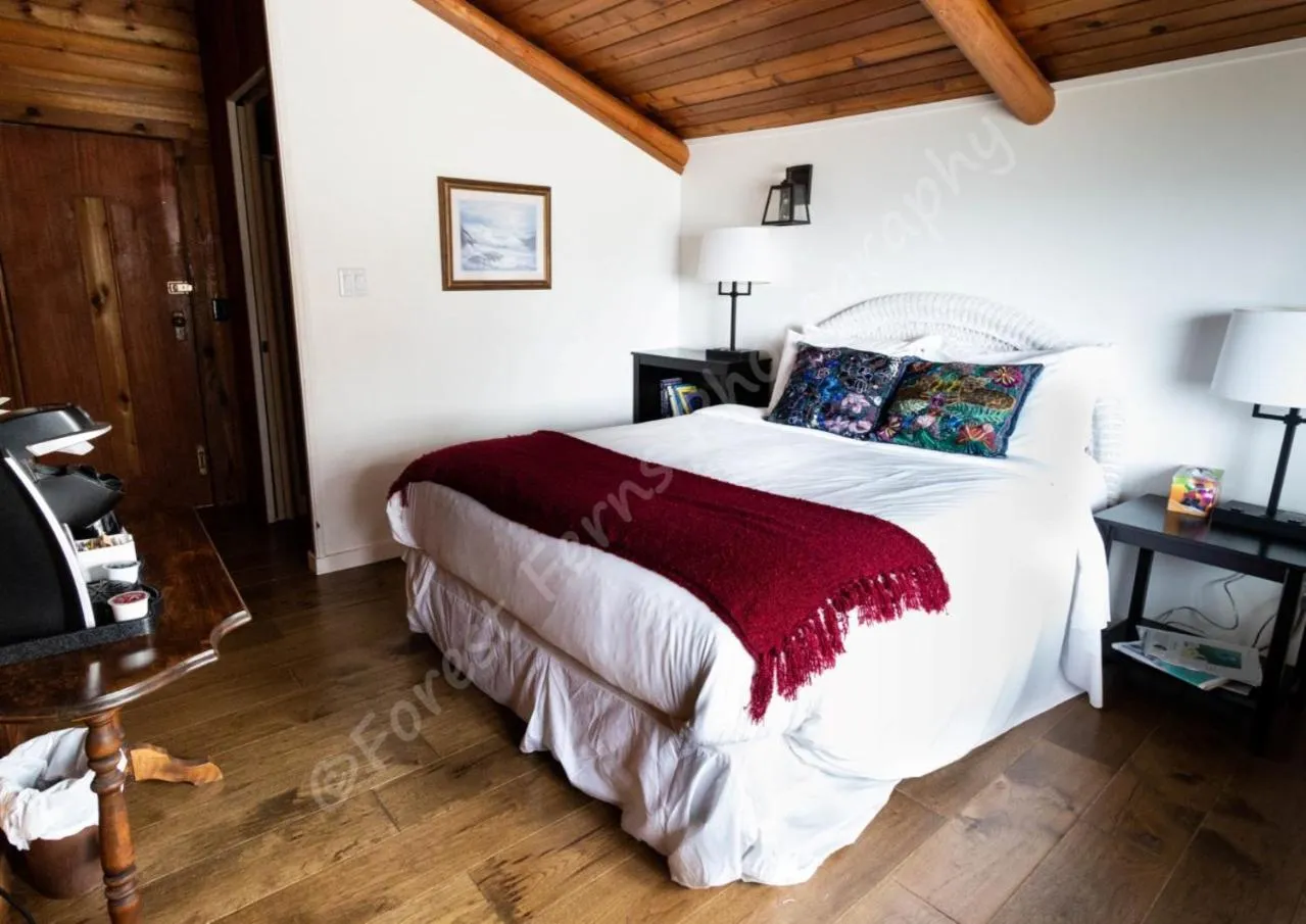 Bed in The Surf Lodge and Pub