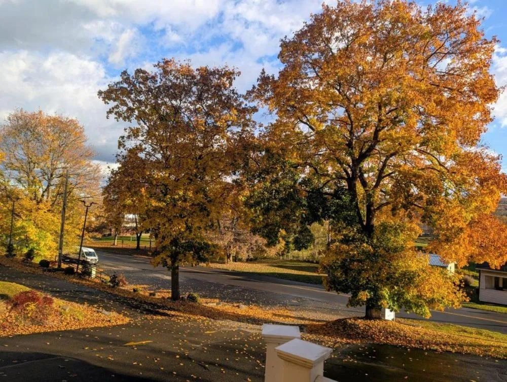 Natural landscape in The Falls Motel - 2 Mi to " Watkins Glen State Park, Seneca Lake " AND 4 Mi to Watkins Glen International Track " The Glen "