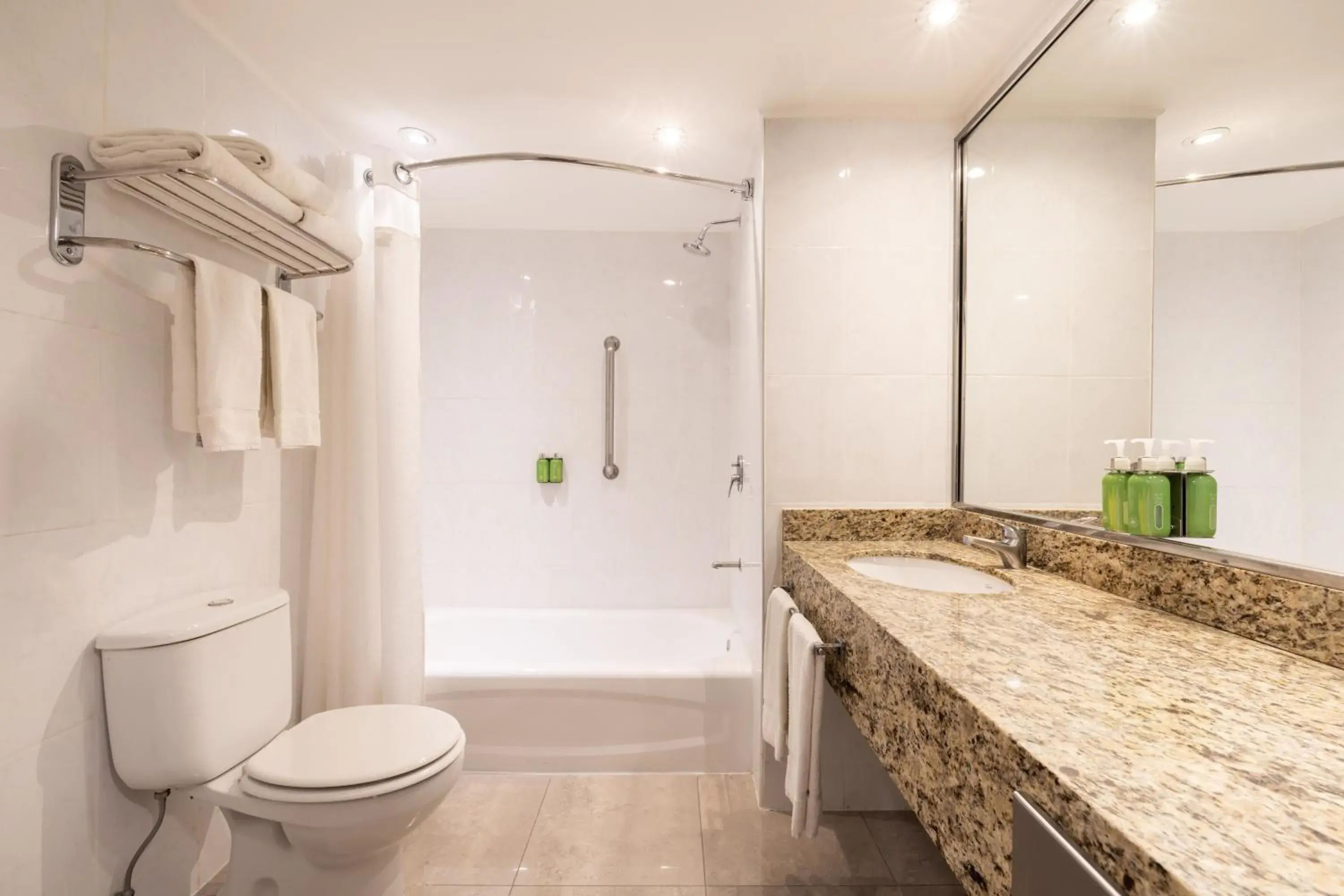 Standard Room in Holiday Inn Express Puerto Madero by IHG Standard Room in Holiday Inn Express Puerto Madero by IHG