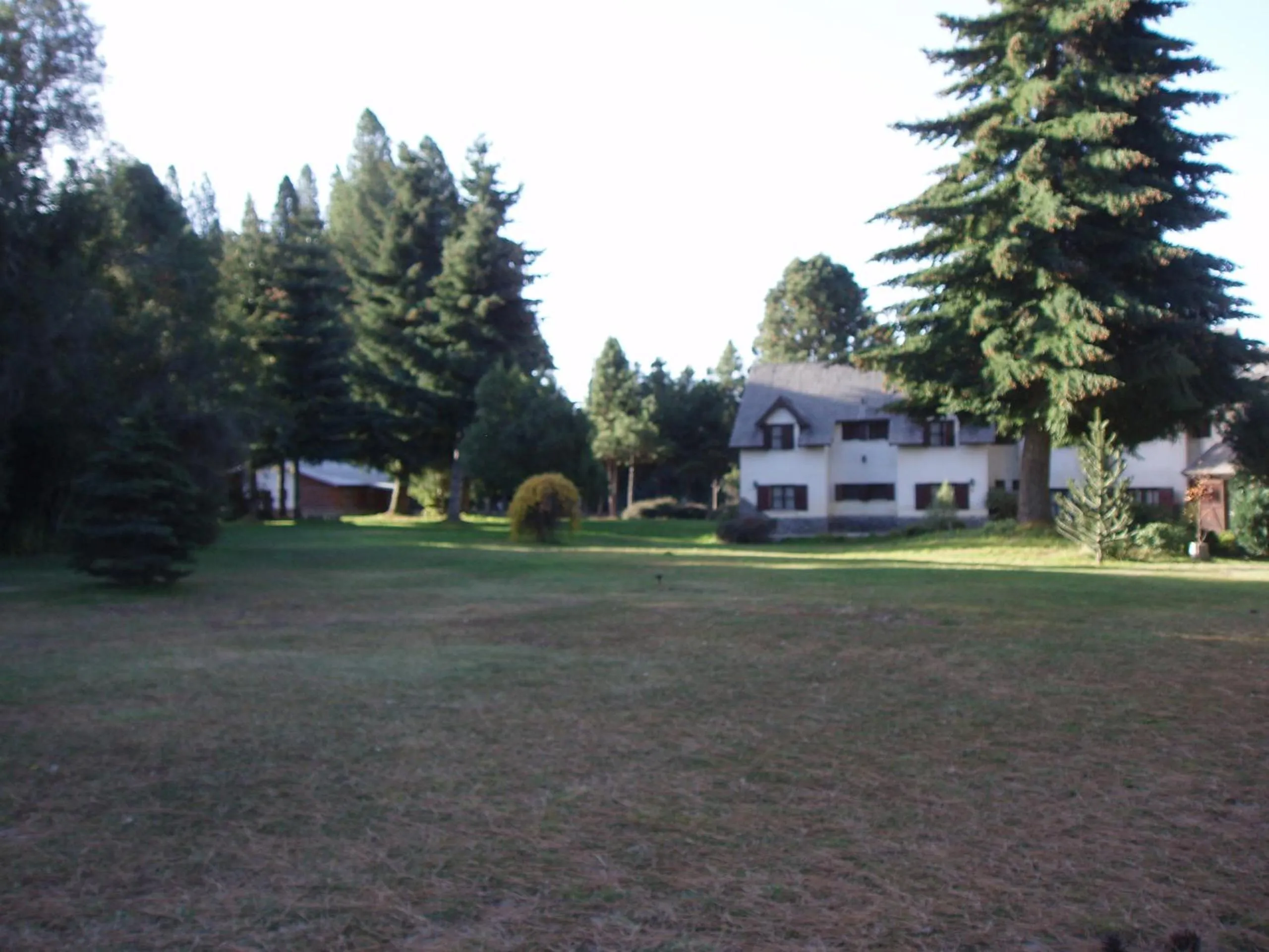Garden in Posada del Angel