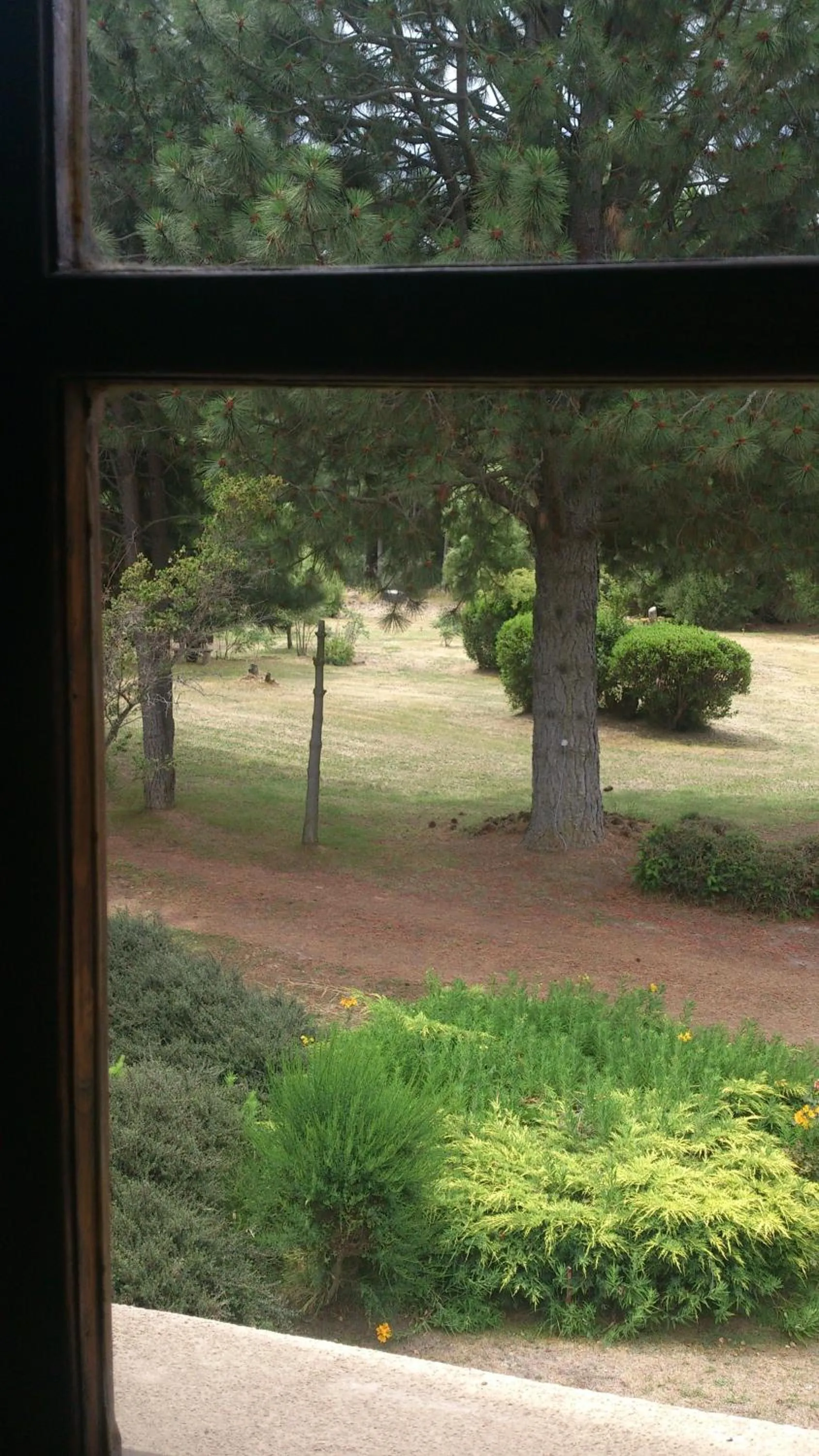 Garden view in Posada del Angel