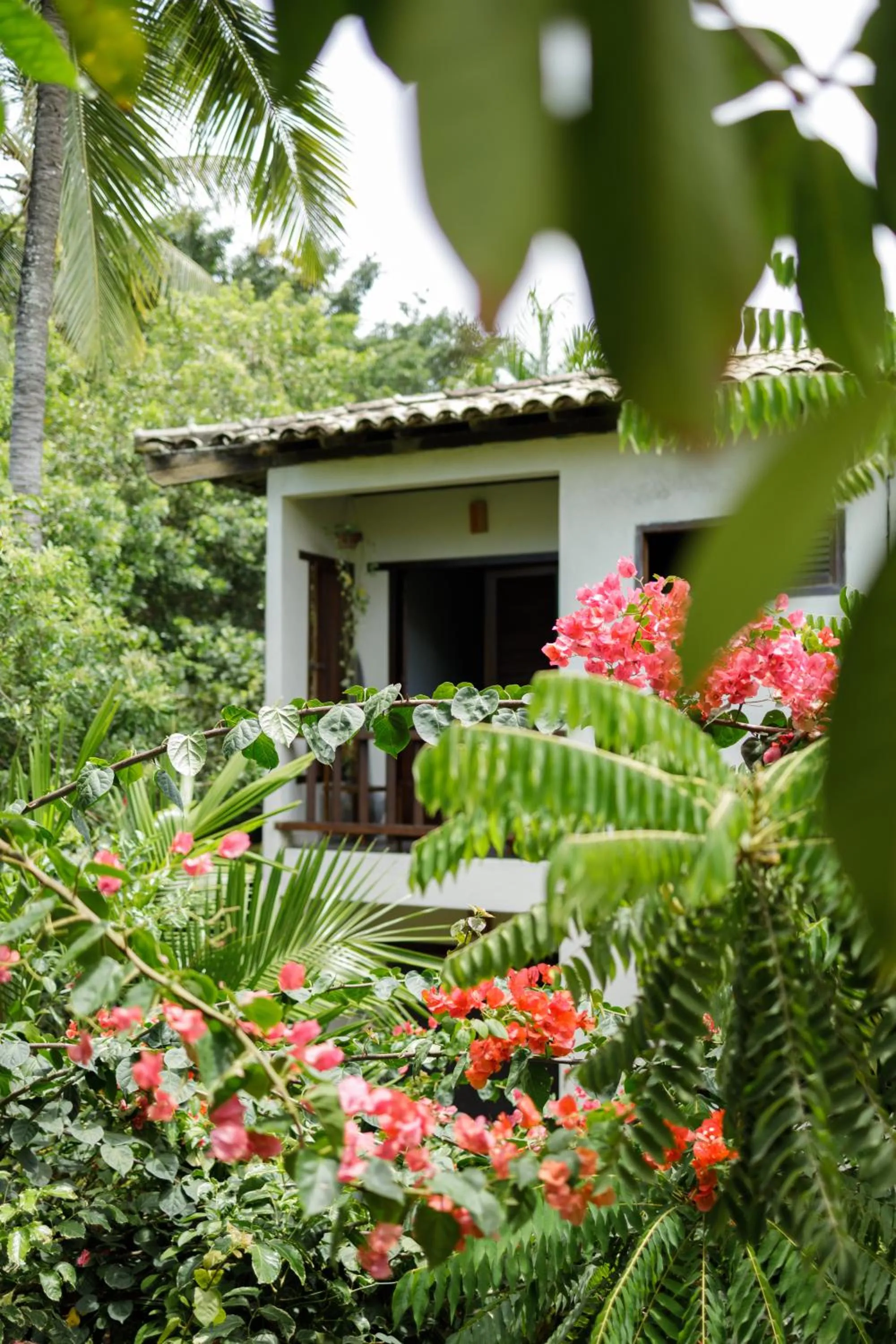 Garden in Pousada Nativa
