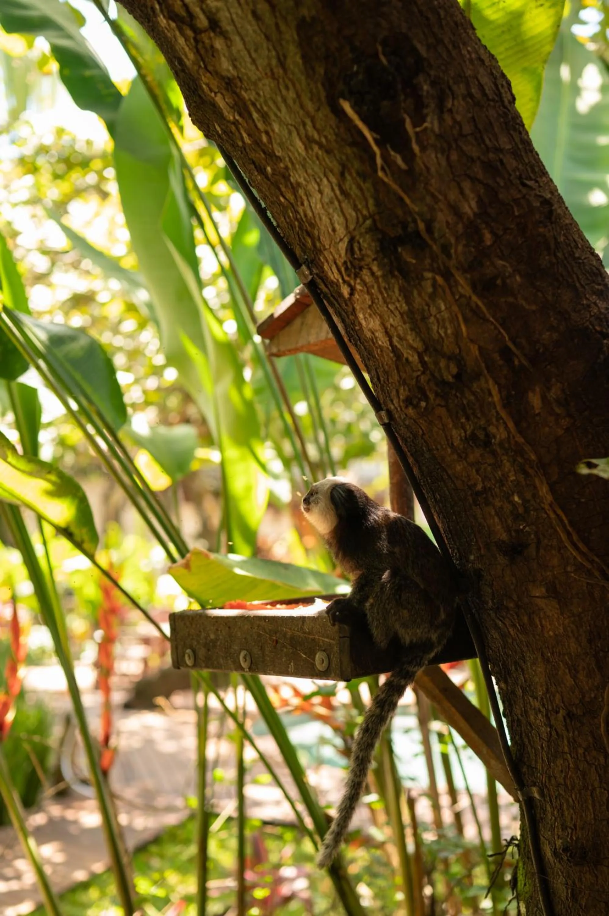 Natural landscape in Pousada Nativa