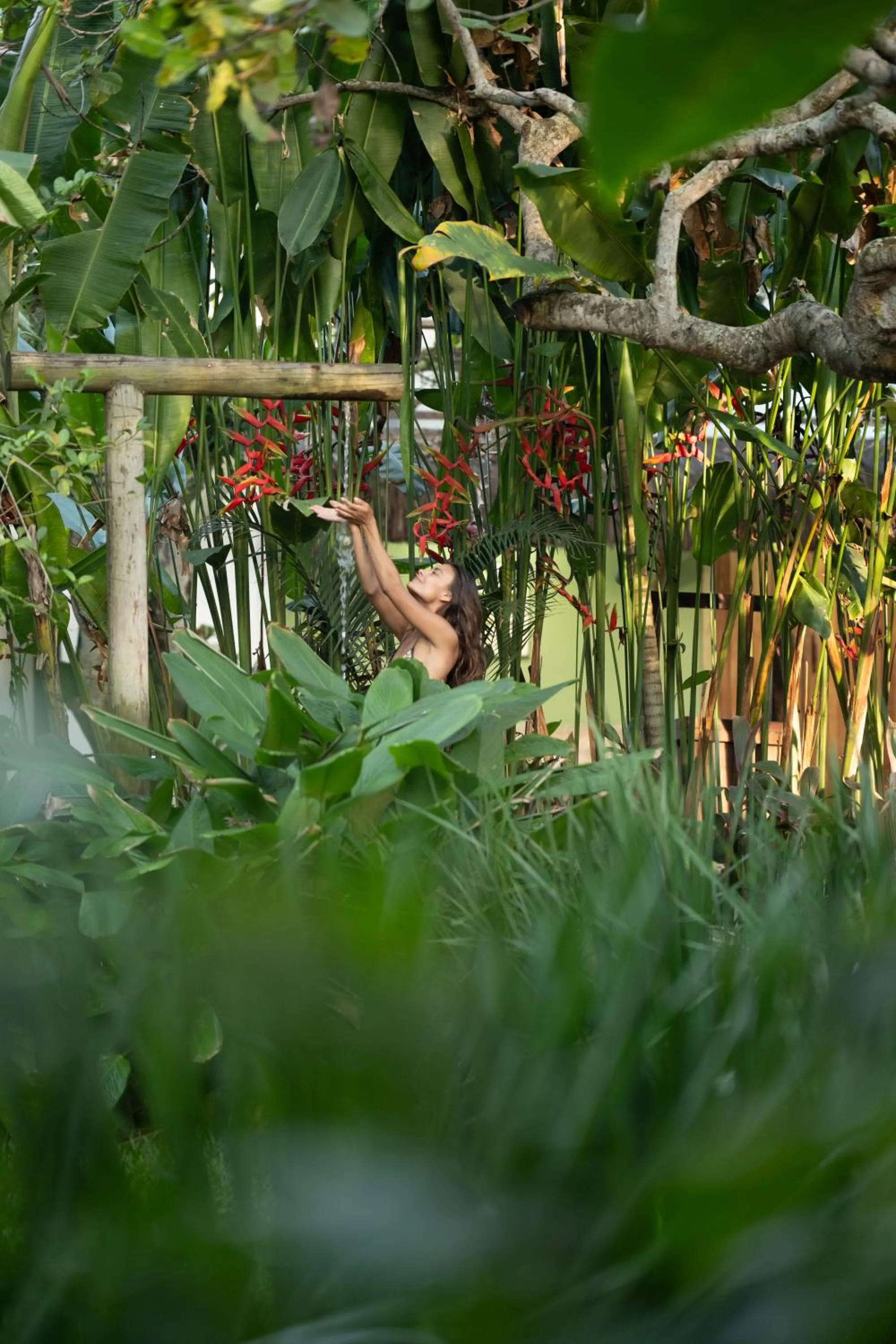 Garden in Pousada Nativa