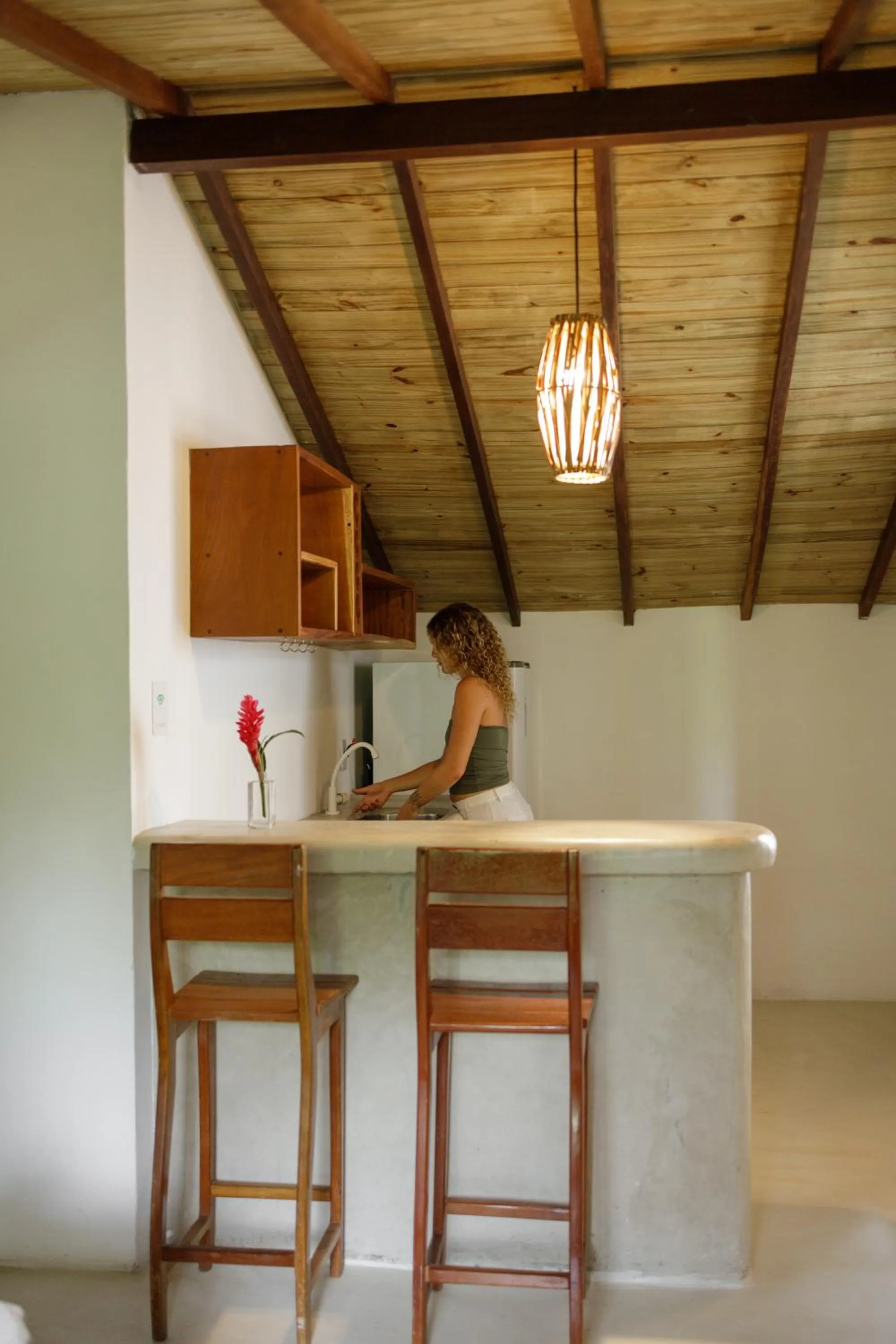 Kitchen or kitchenette in Pousada Nativa