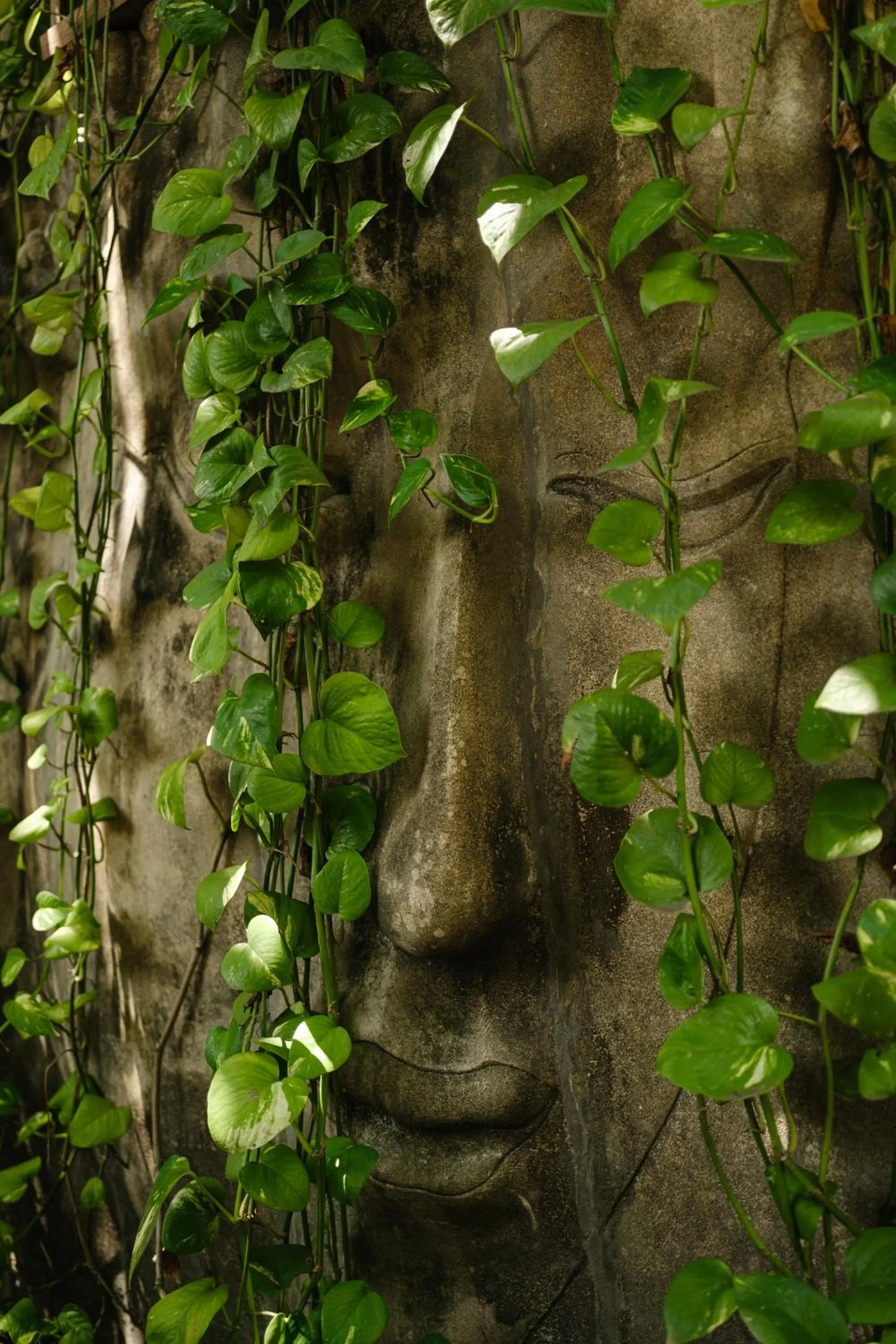 Garden in Pousada Nativa