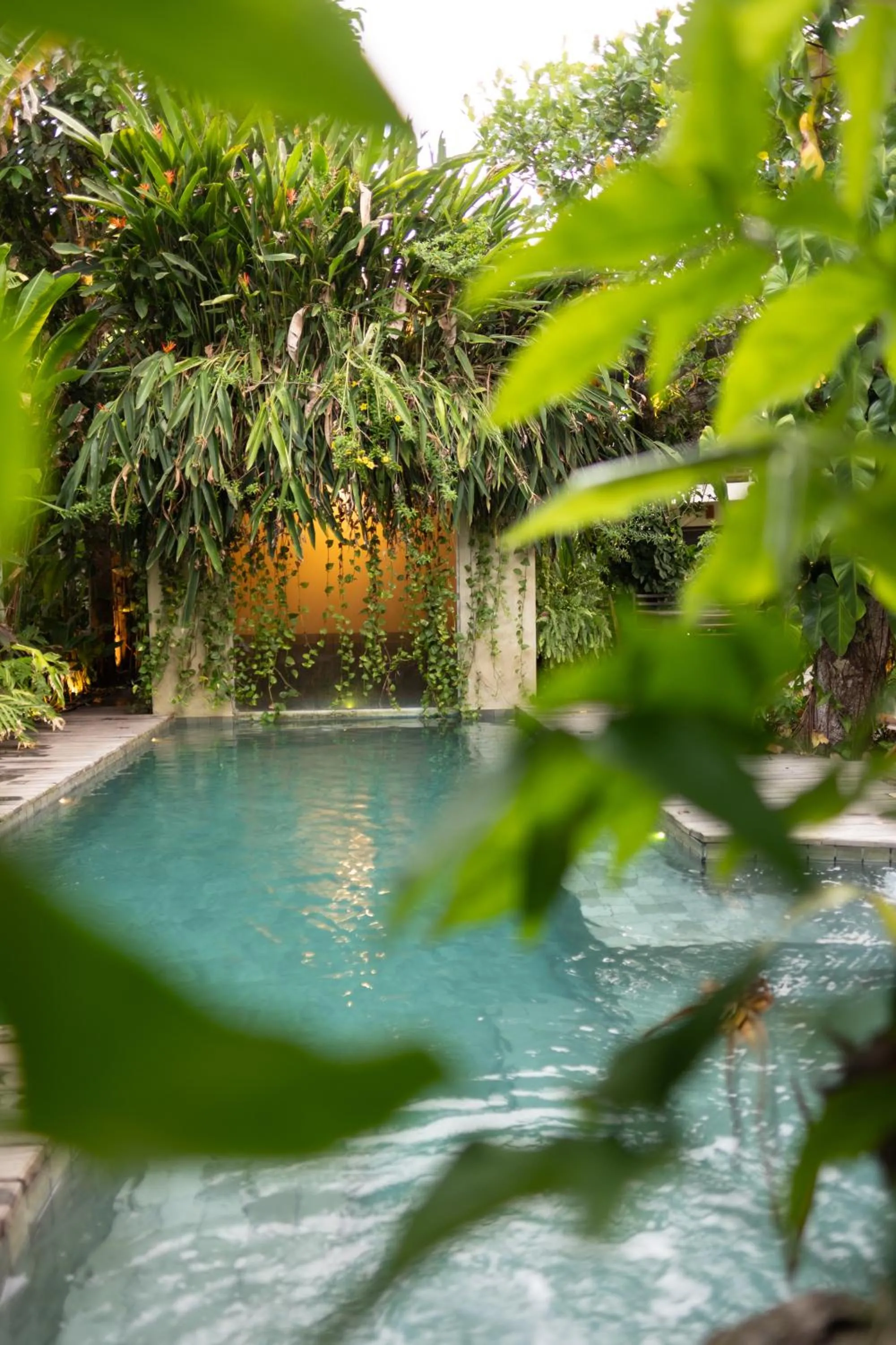 Swimming pool in Pousada Nativa