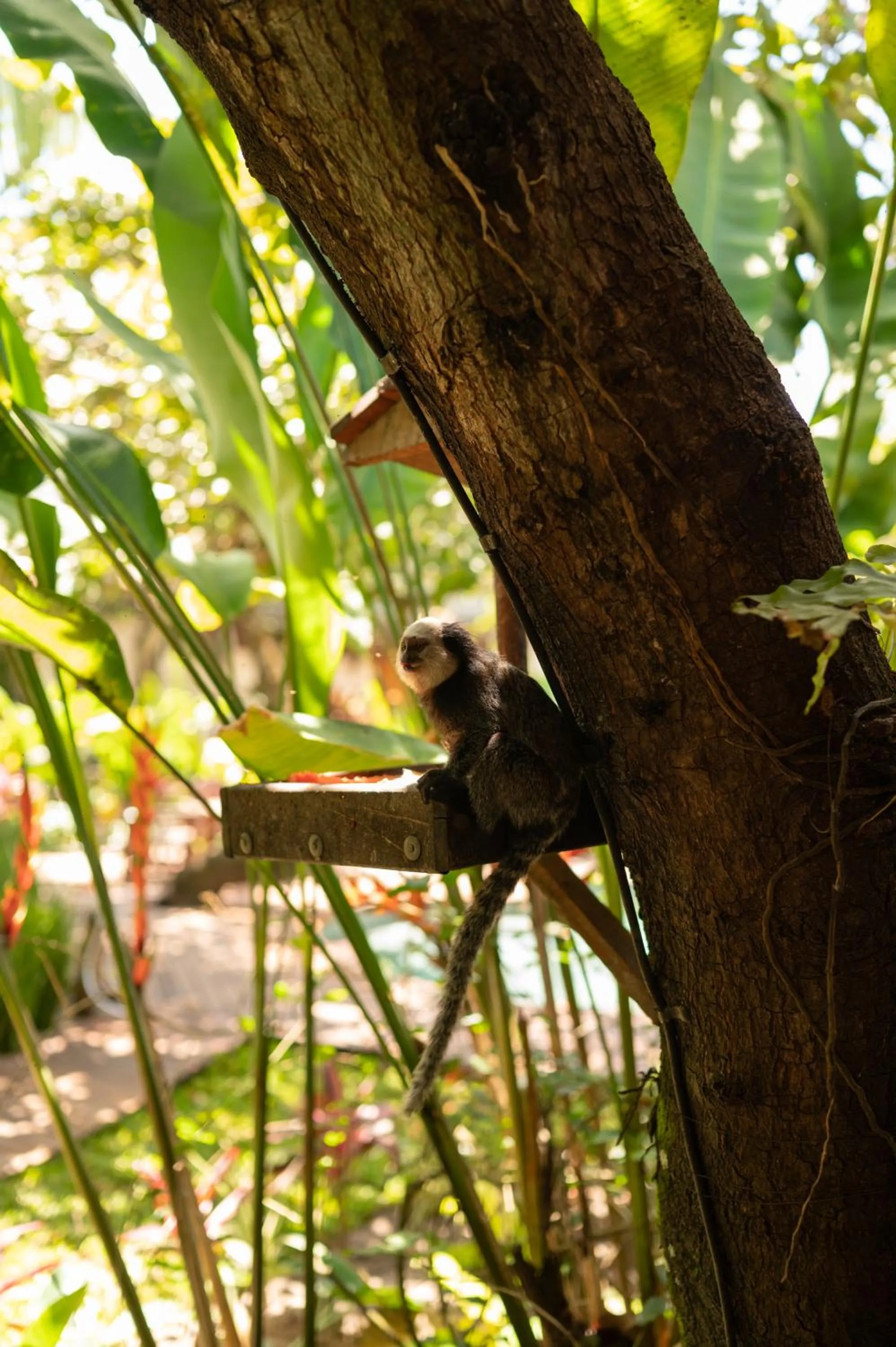 Natural landscape in Pousada Nativa