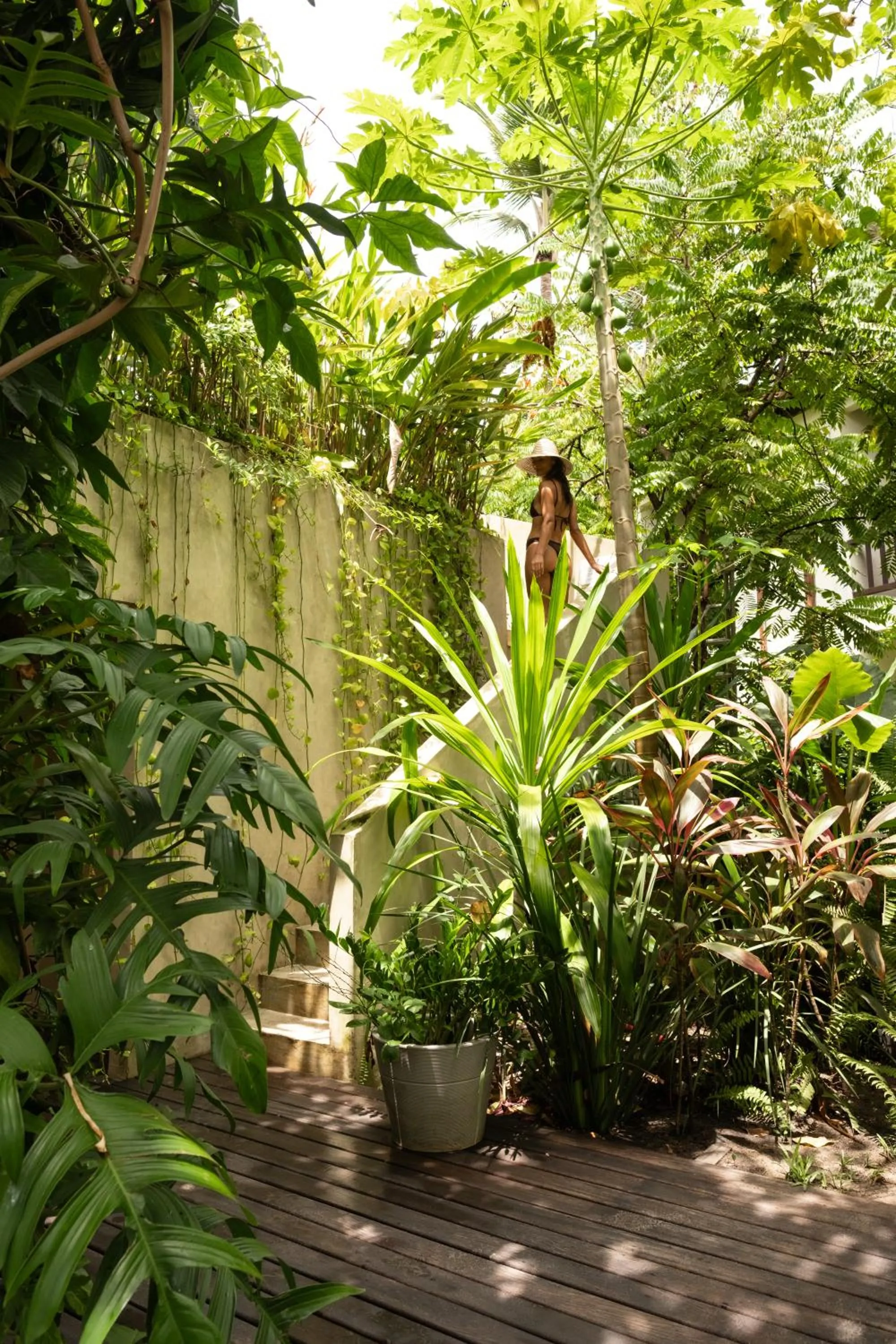 Garden in Pousada Nativa