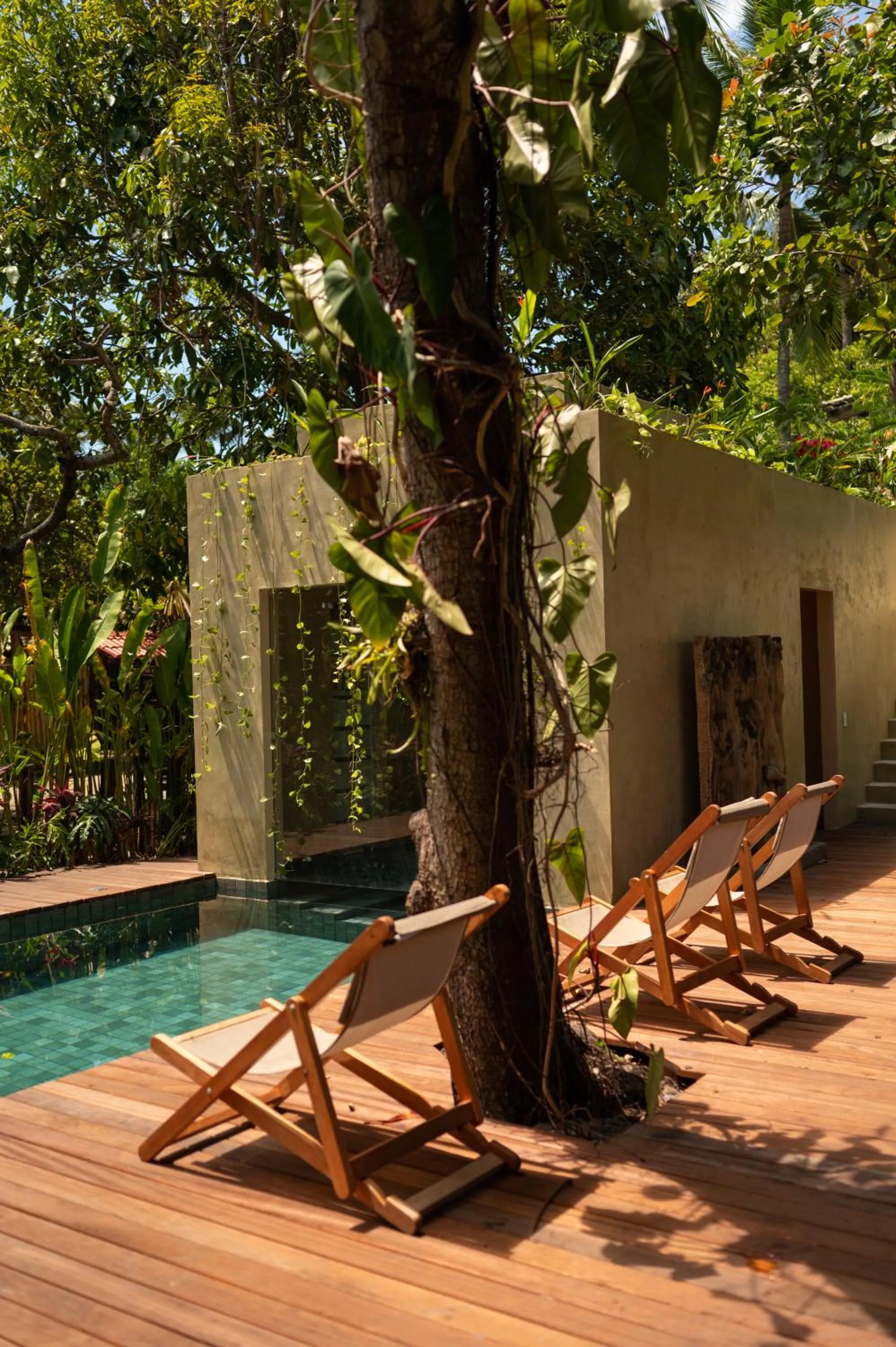 Garden in Pousada Nativa