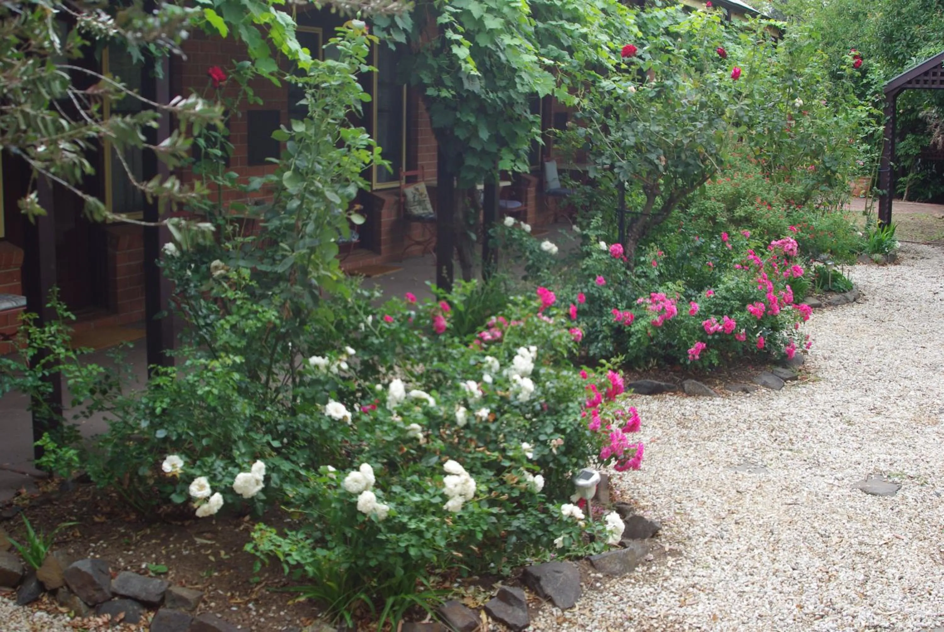 Spring in Motel Maldon