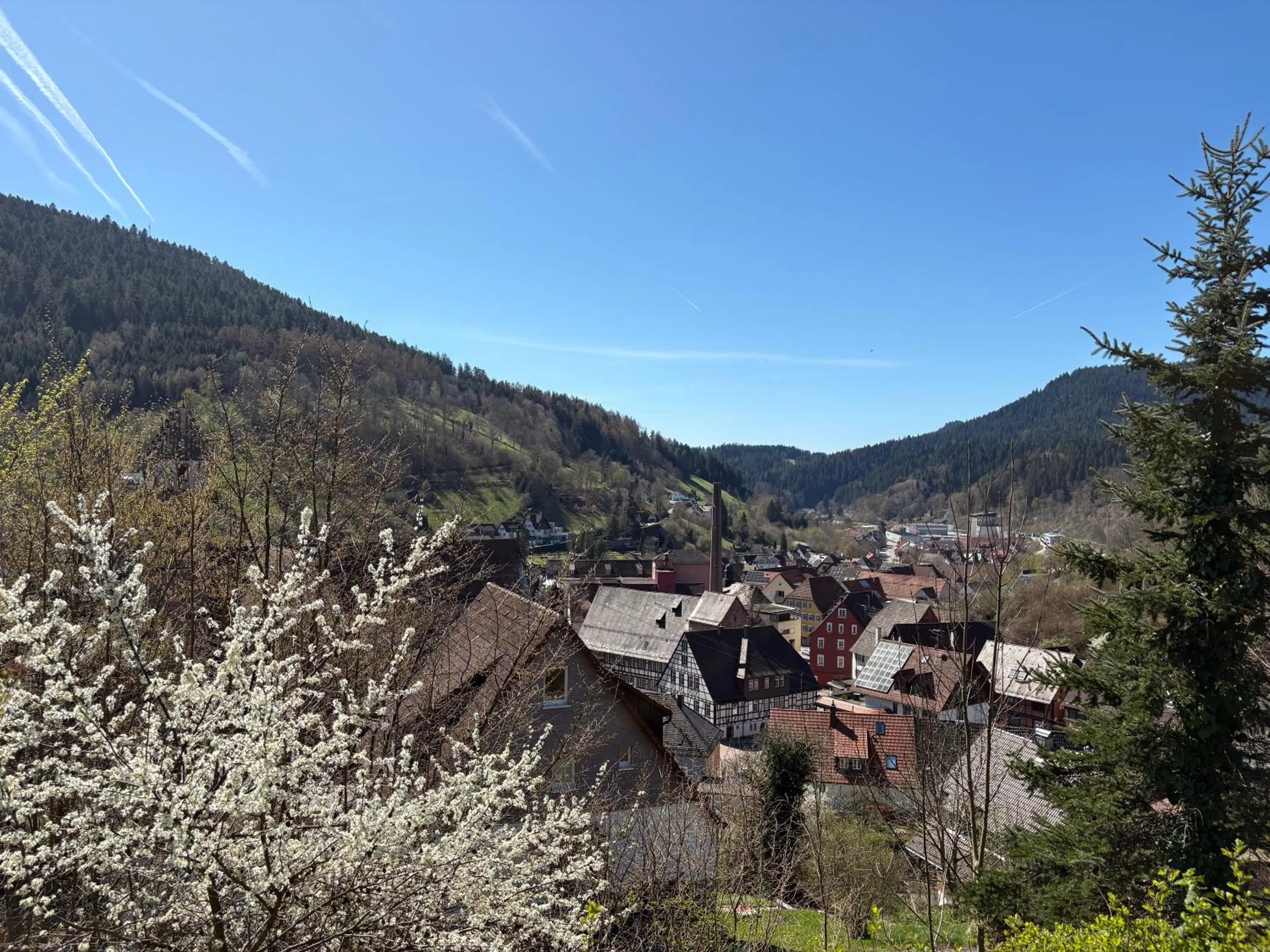 Property building in Haus Höhneck