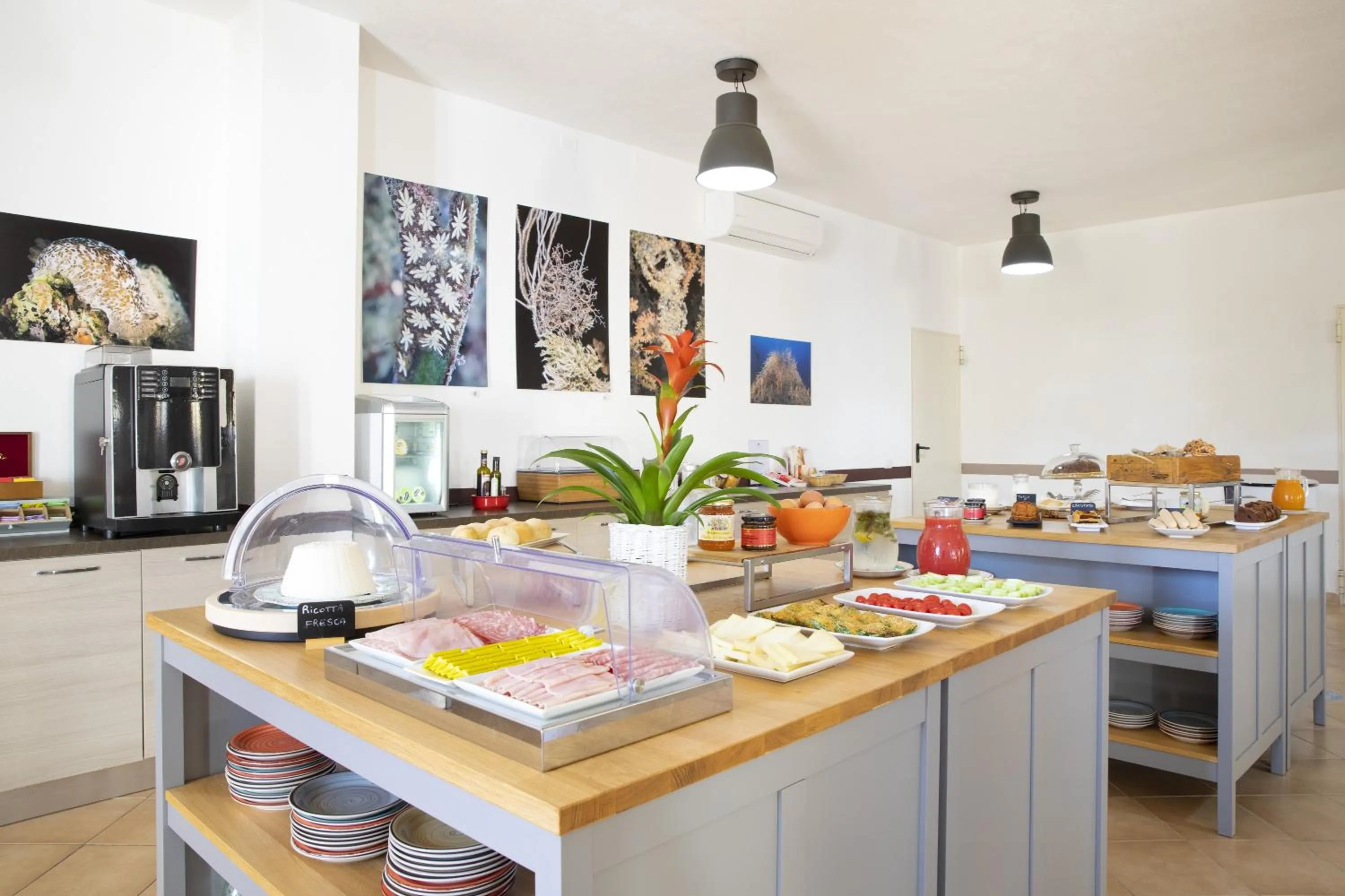 Food and drinks in MuMA Hostel