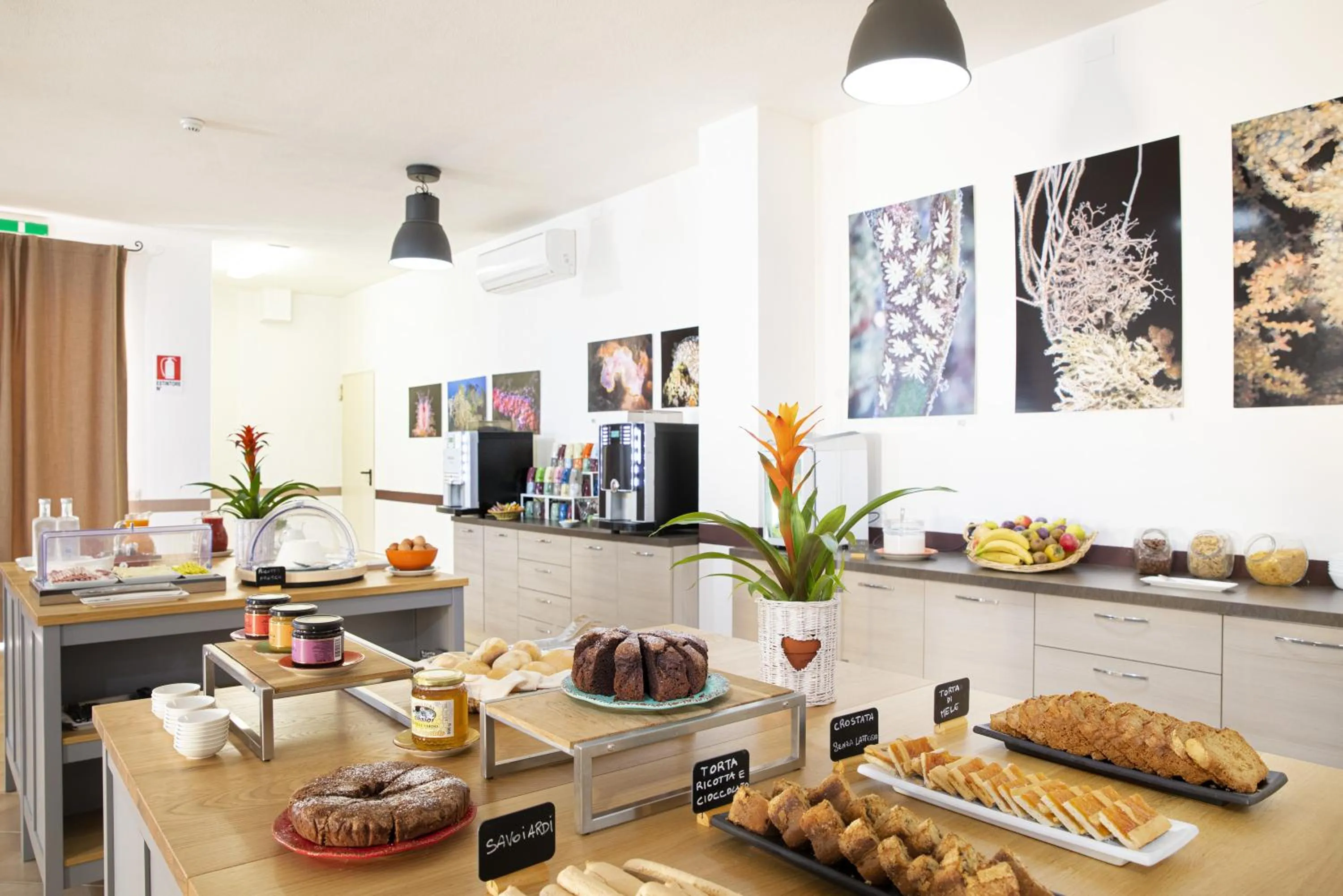 Food and drinks in MuMA Hostel