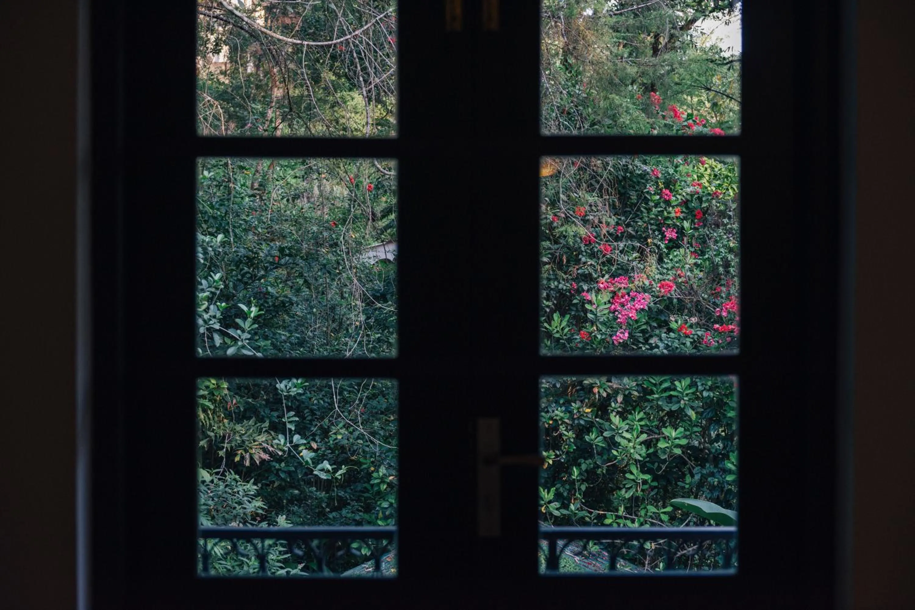 Garden in Villa Republic Bandarawela (04 bedroom)