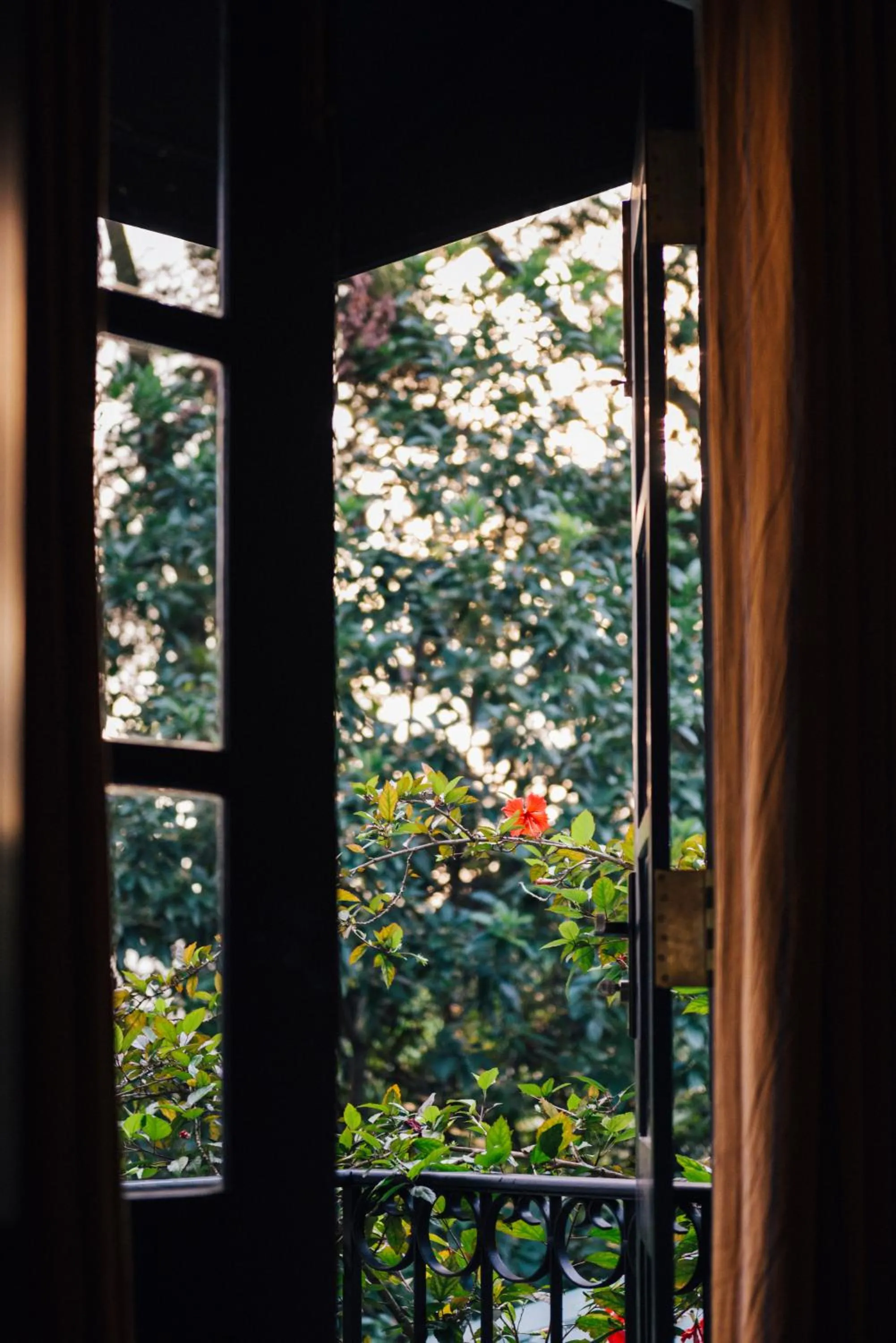 Natural landscape in Villa Republic Bandarawela (04 bedroom)