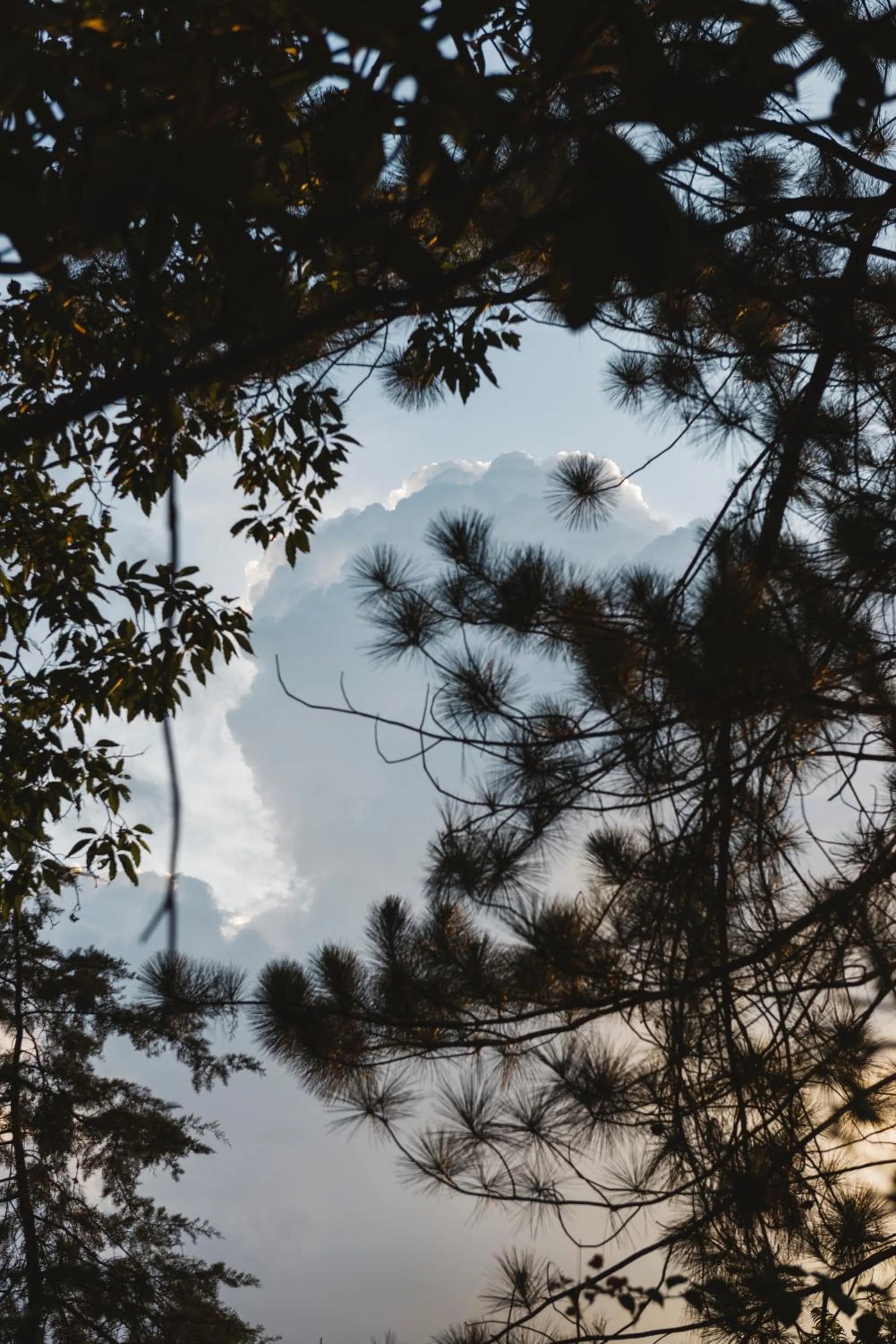 Sunset in Villa Republic Bandarawela (04 bedroom)