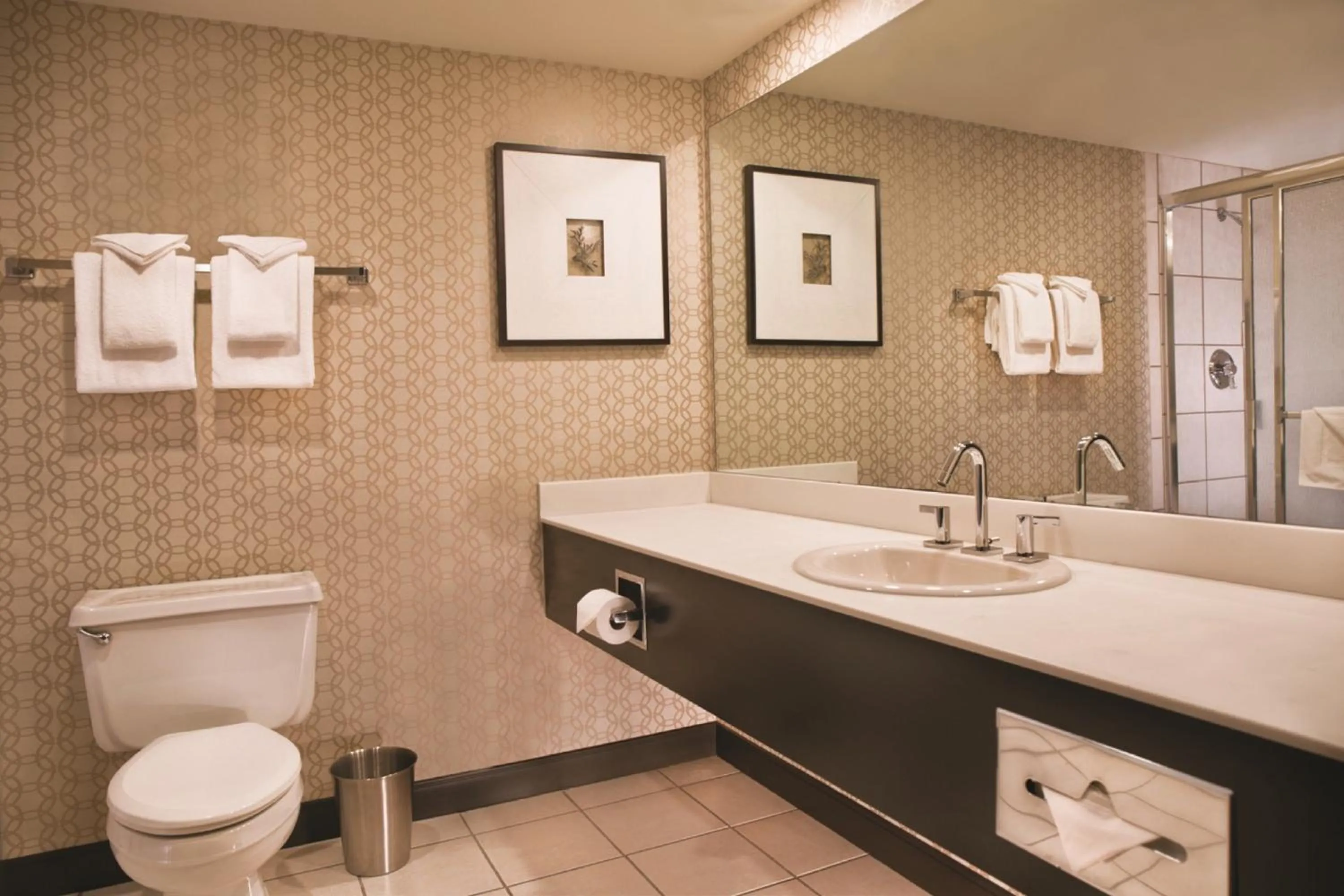 Bathroom in Excalibur