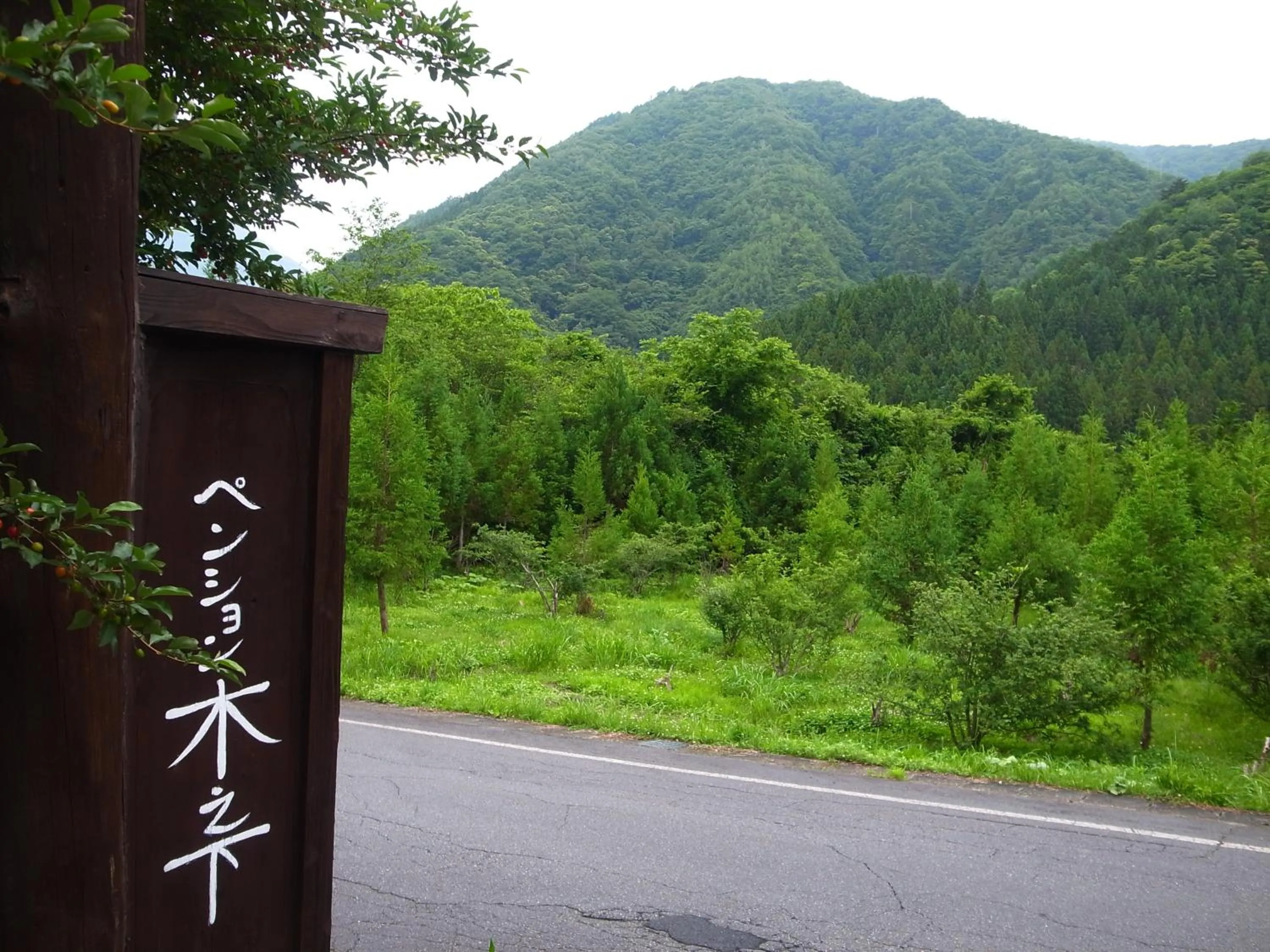 Day in Pension Kinoshita