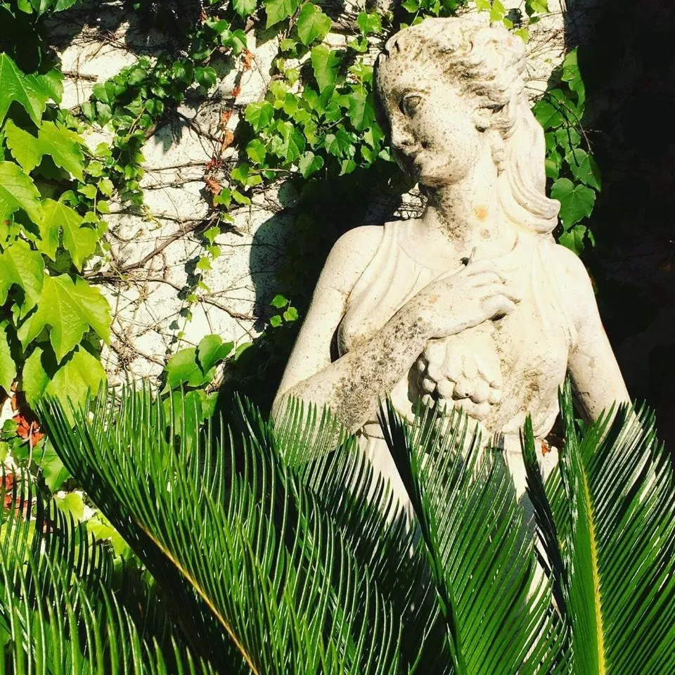 Property building in Foglie D' Acqua