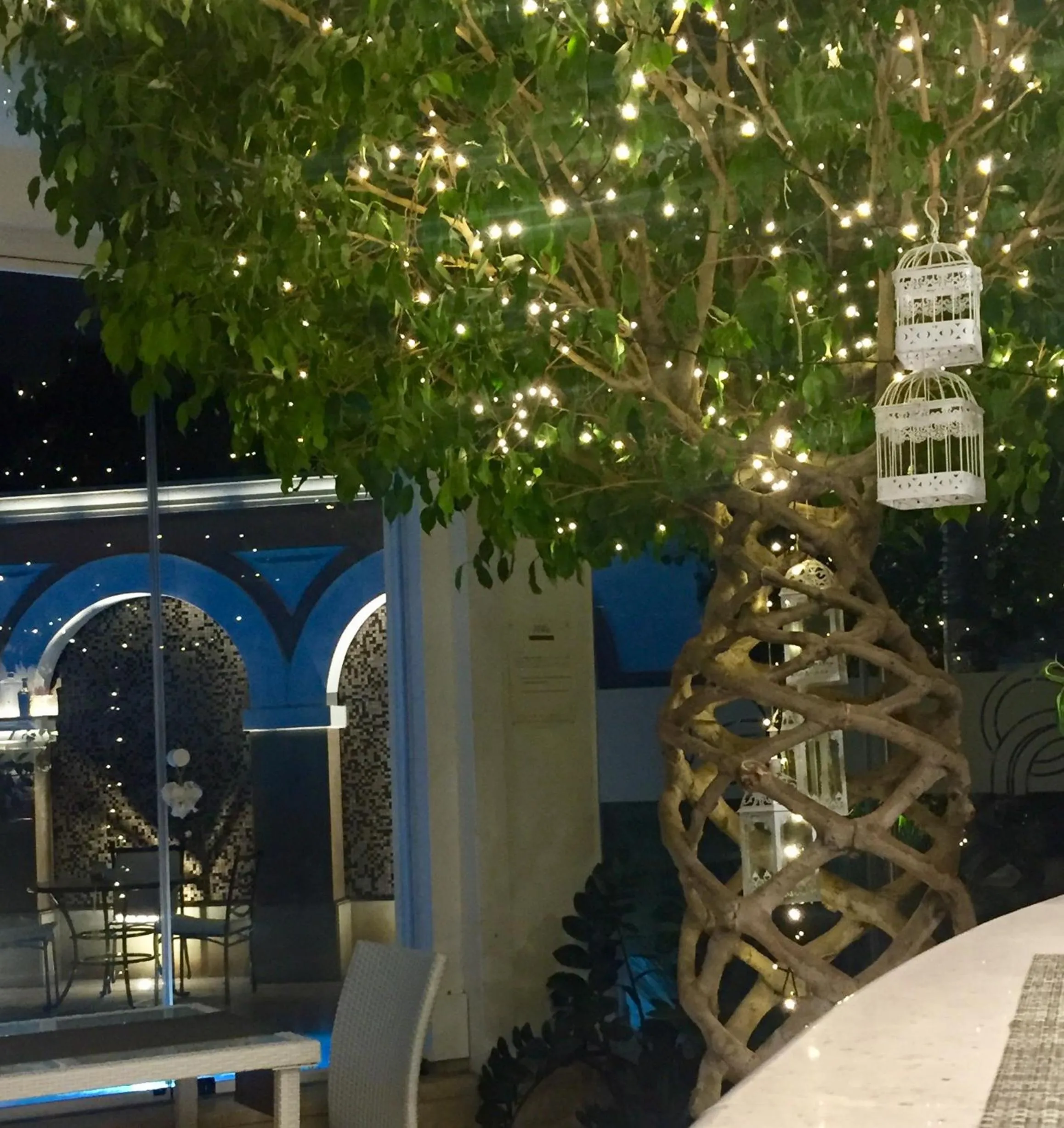 Other in Foglie D' Acqua