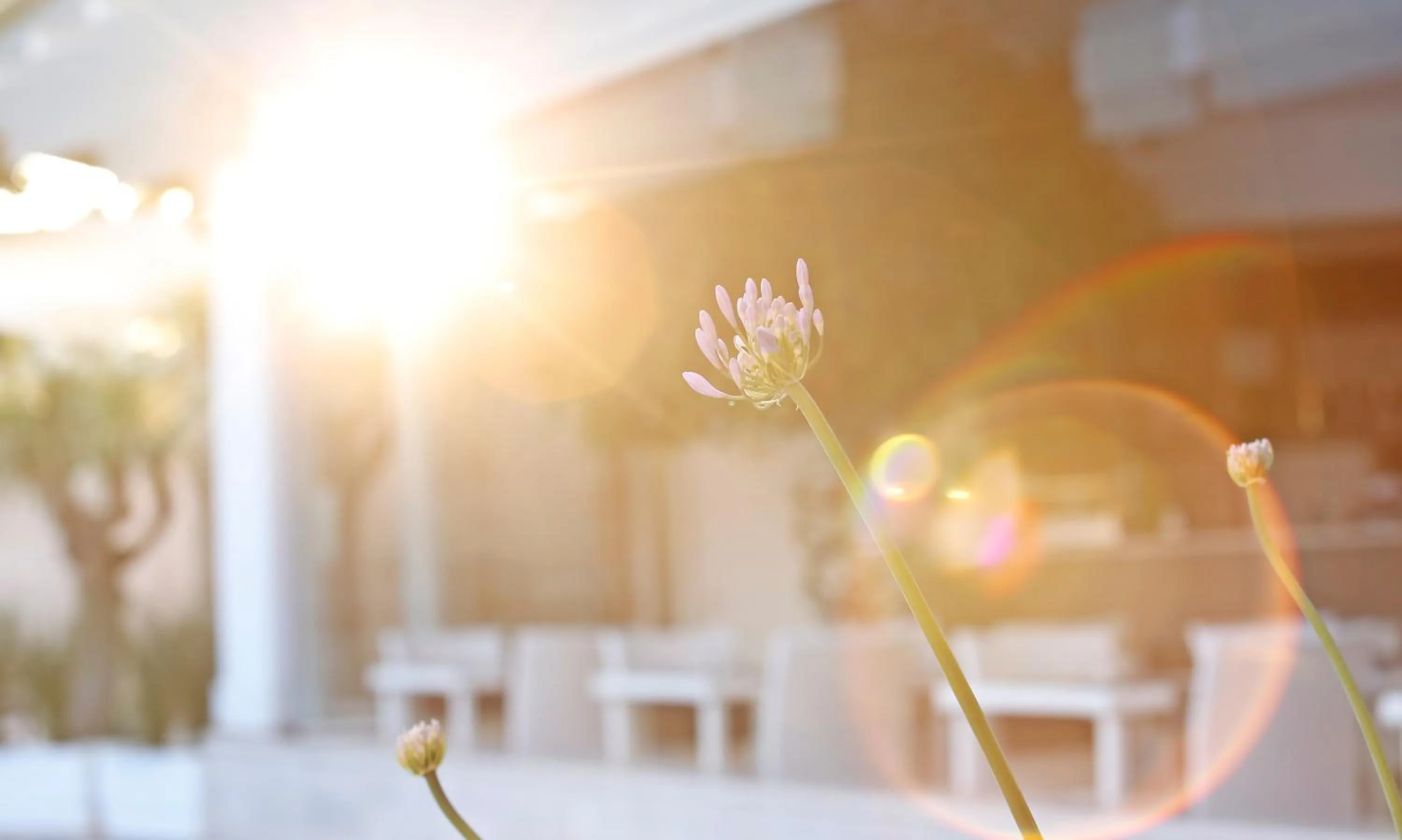 Sunset in Foglie D' Acqua