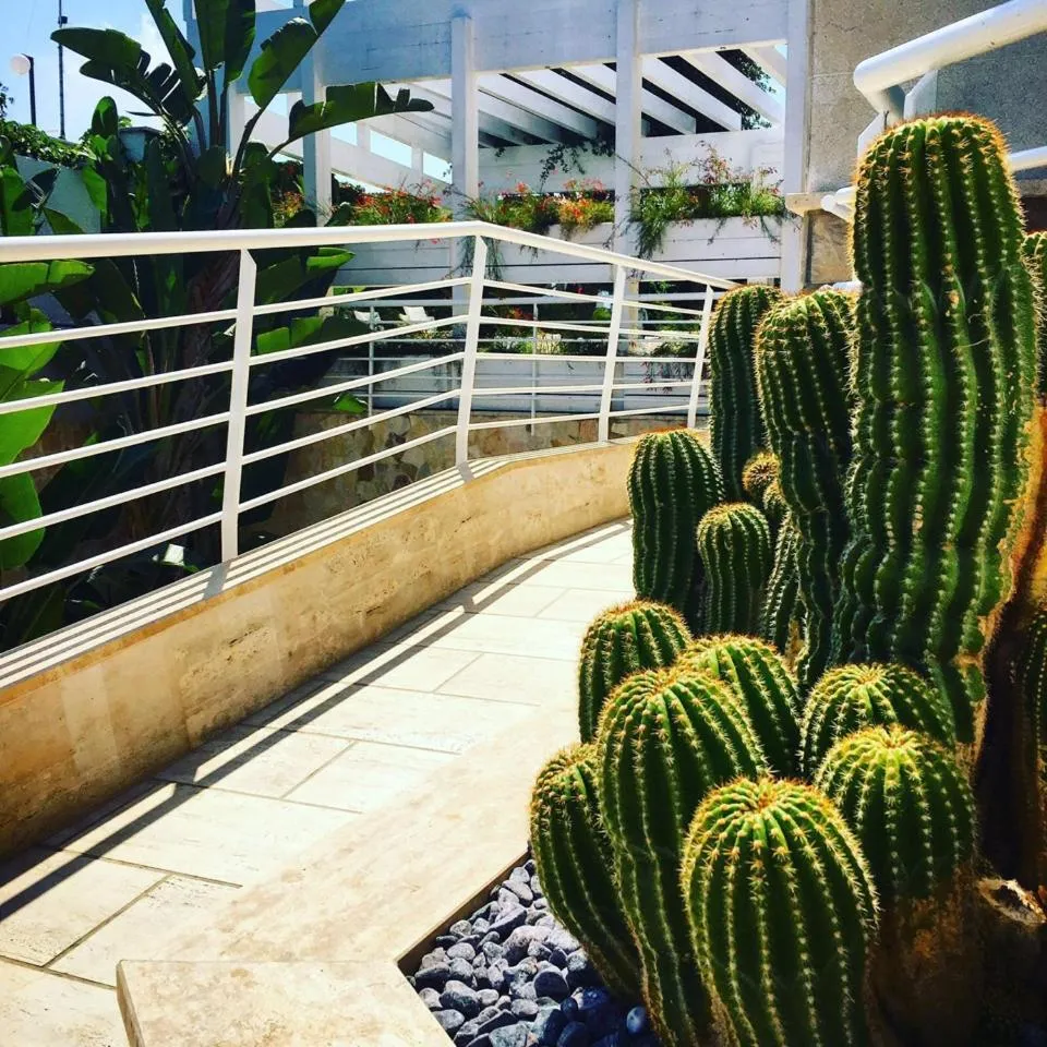 Property building in Foglie D' Acqua