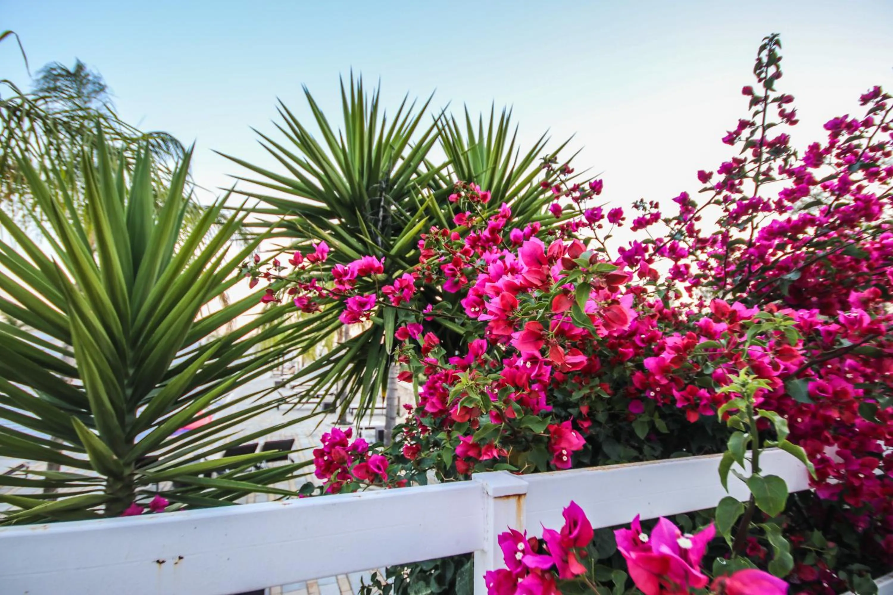 Garden in Elysium Hotel