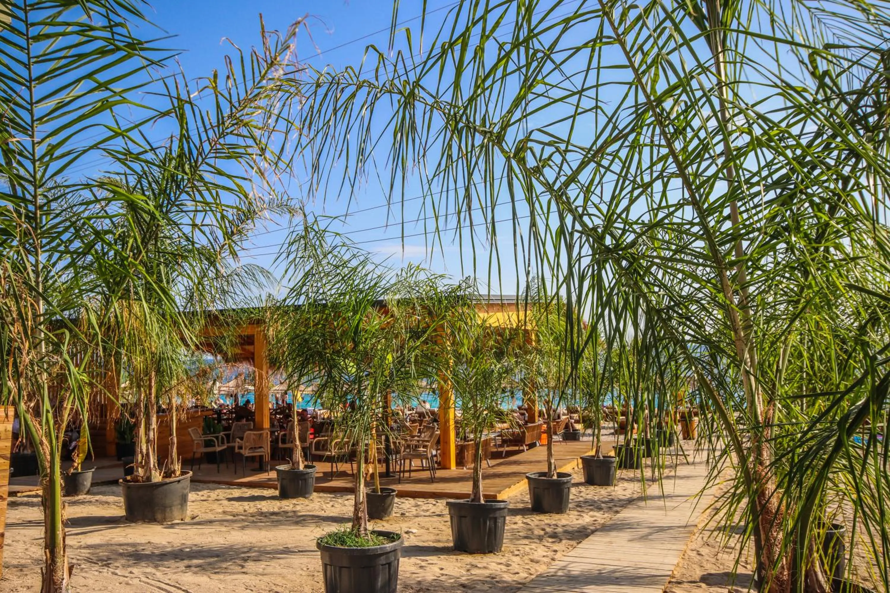Beach in Elysium Hotel