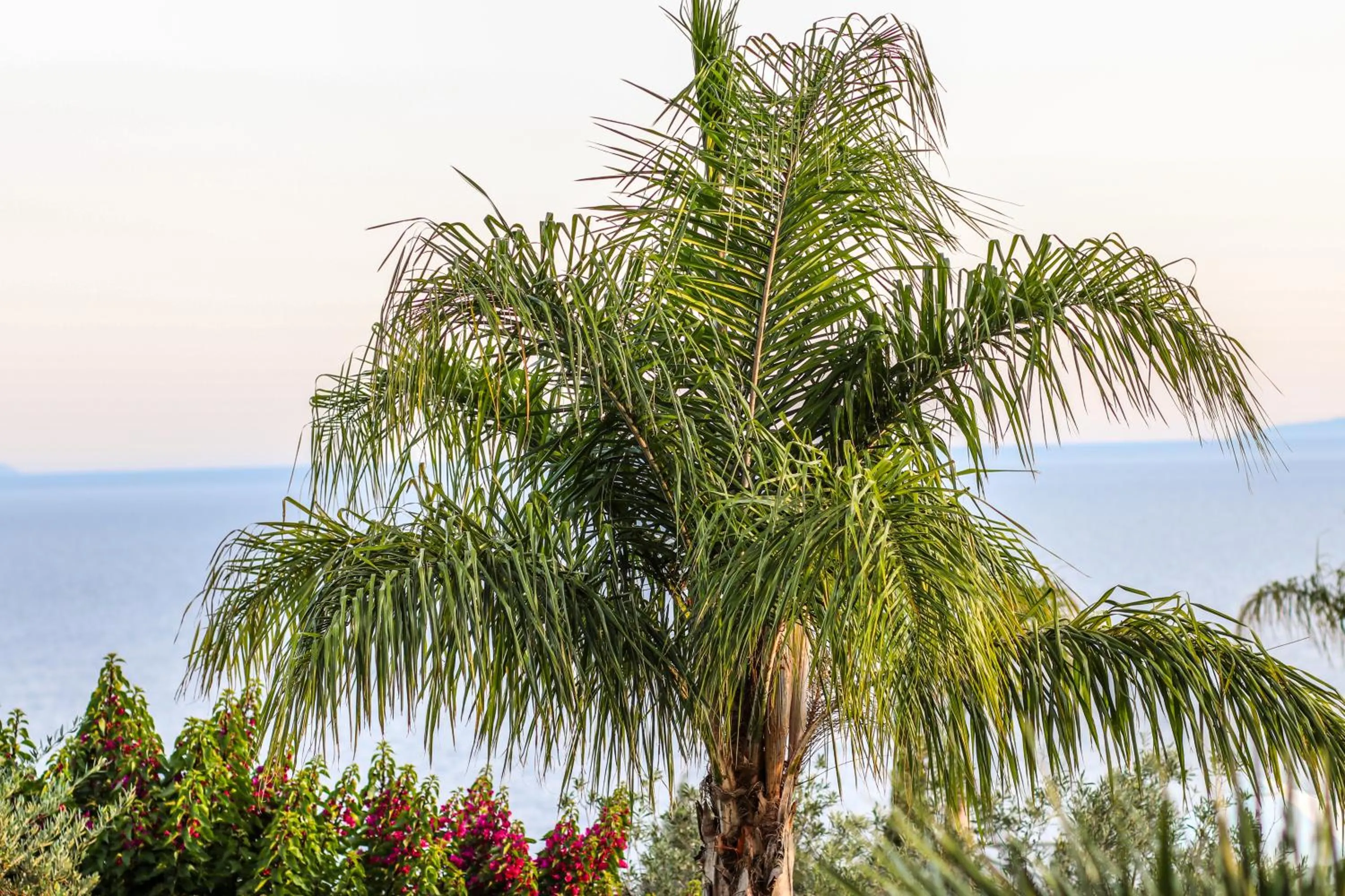Natural landscape in Elysium Hotel