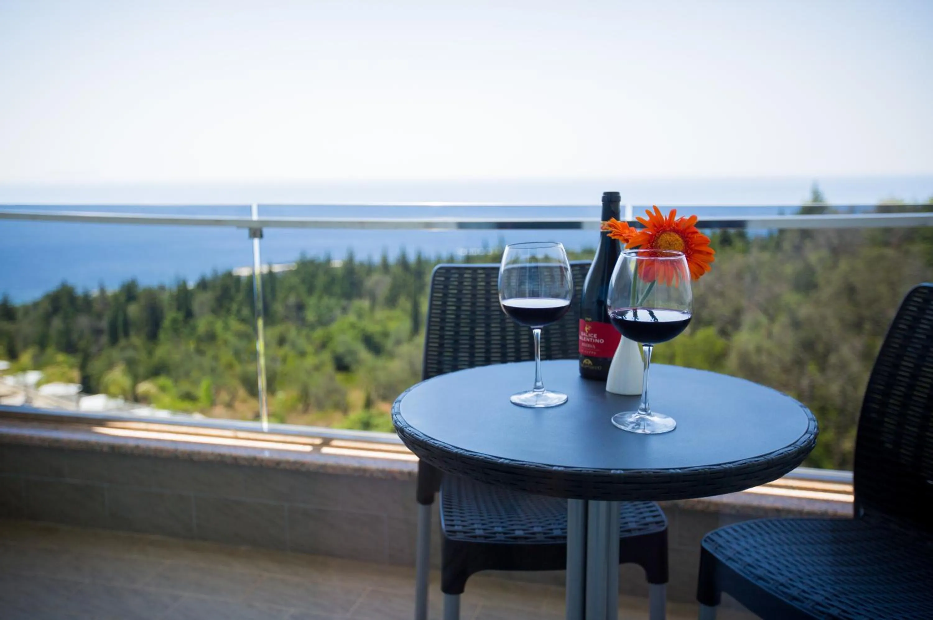 Balcony/Terrace in Elysium Hotel