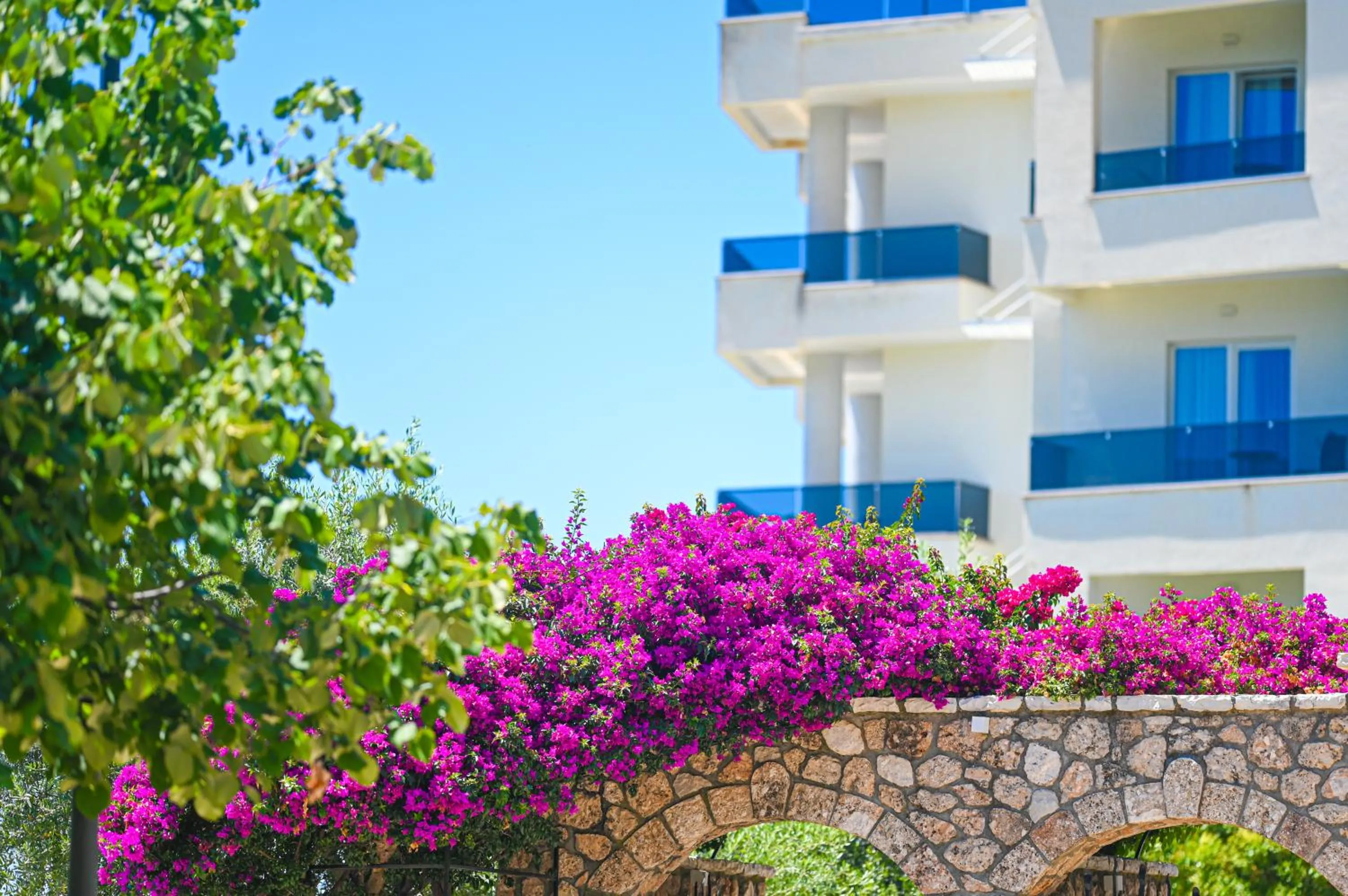 Property building in Elysium Hotel