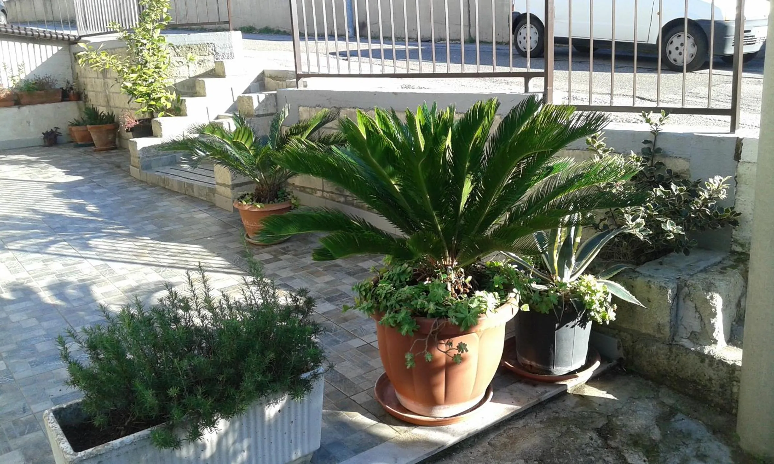 IL Pergolato