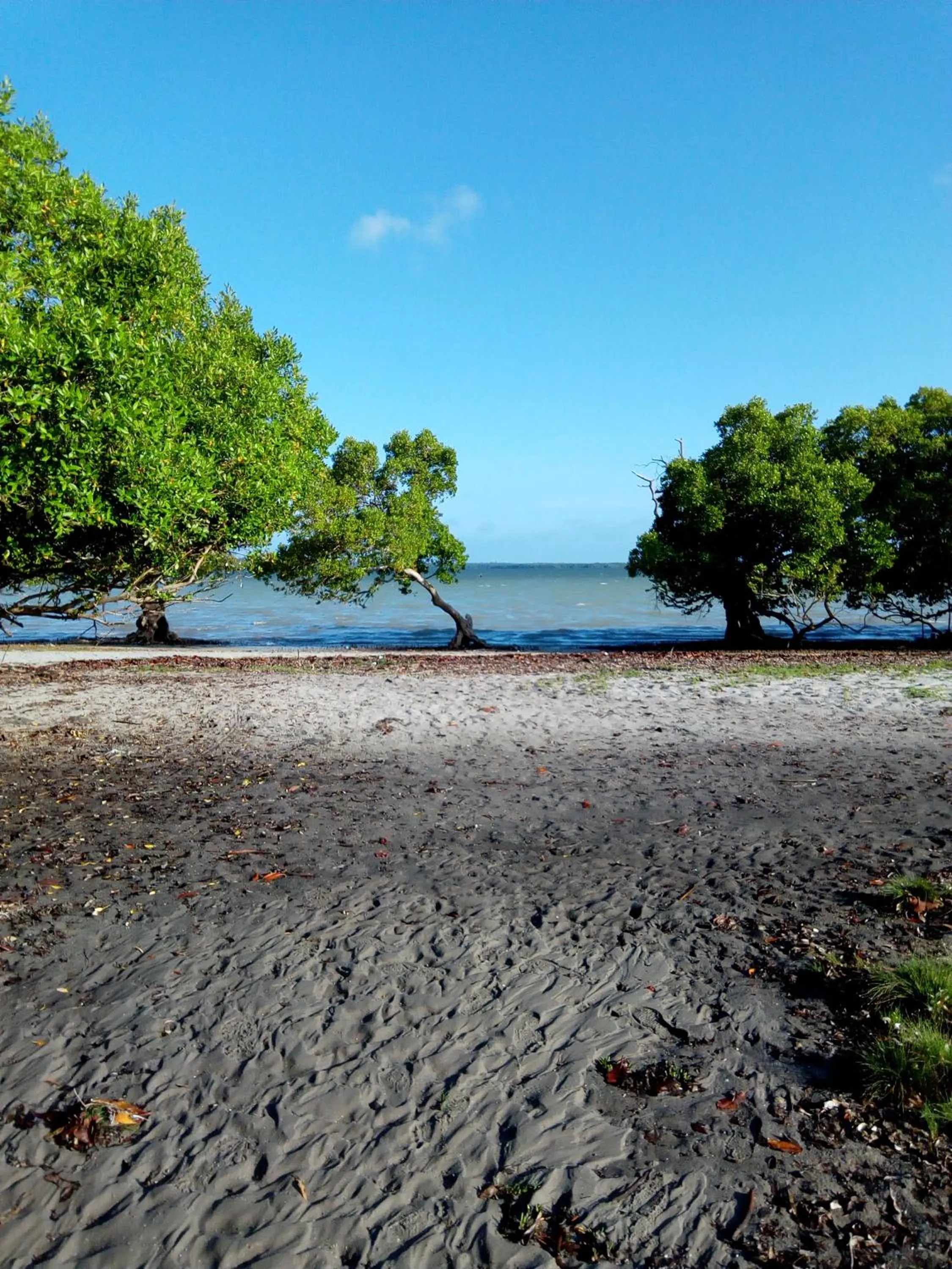 Day in Mida Creek Eco Camp
