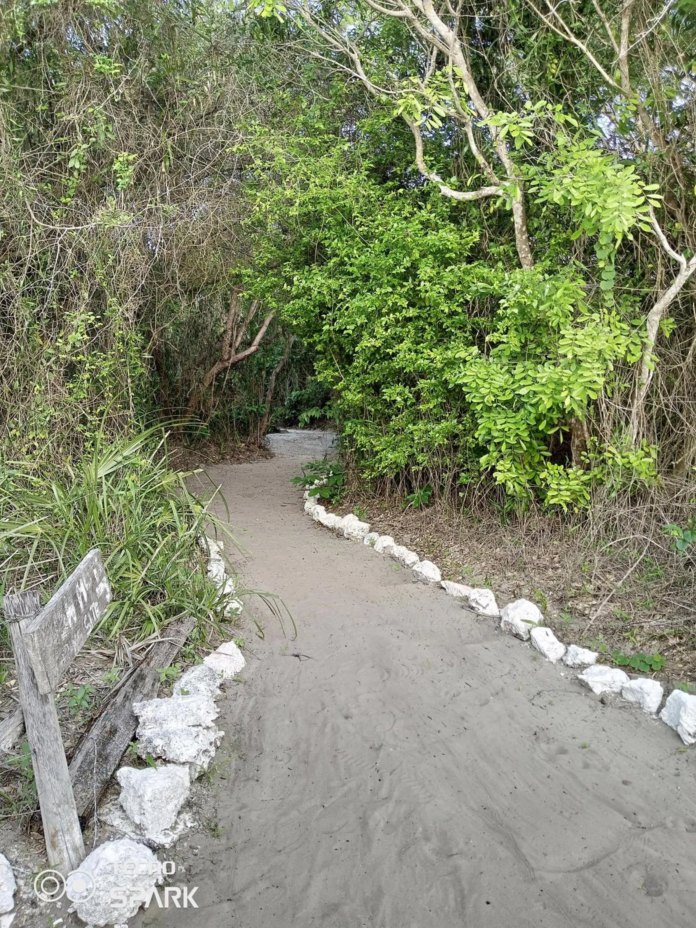 Facade/entrance in Mida Creek Eco Camp