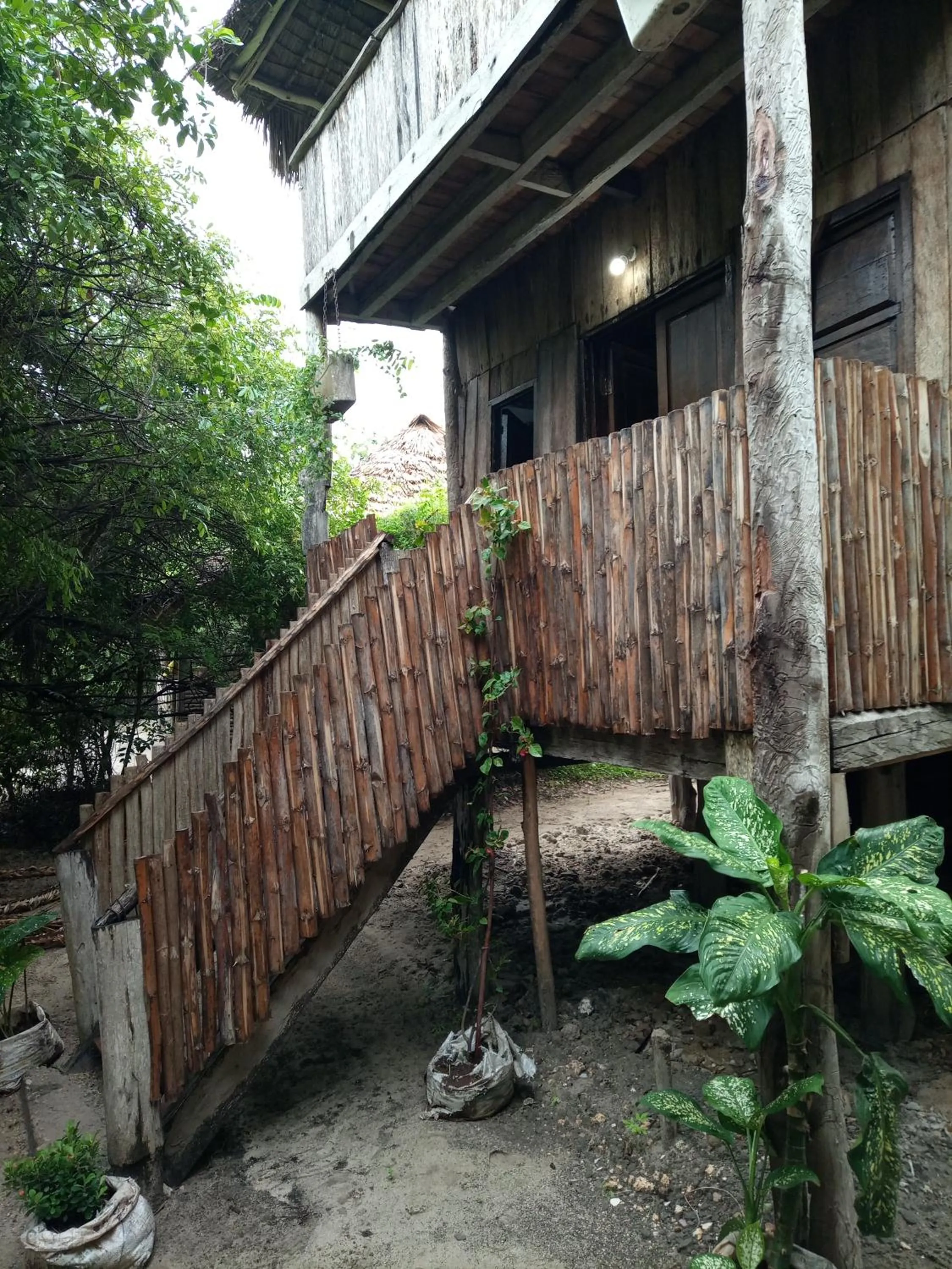 Property building in Mida Creek Eco Camp