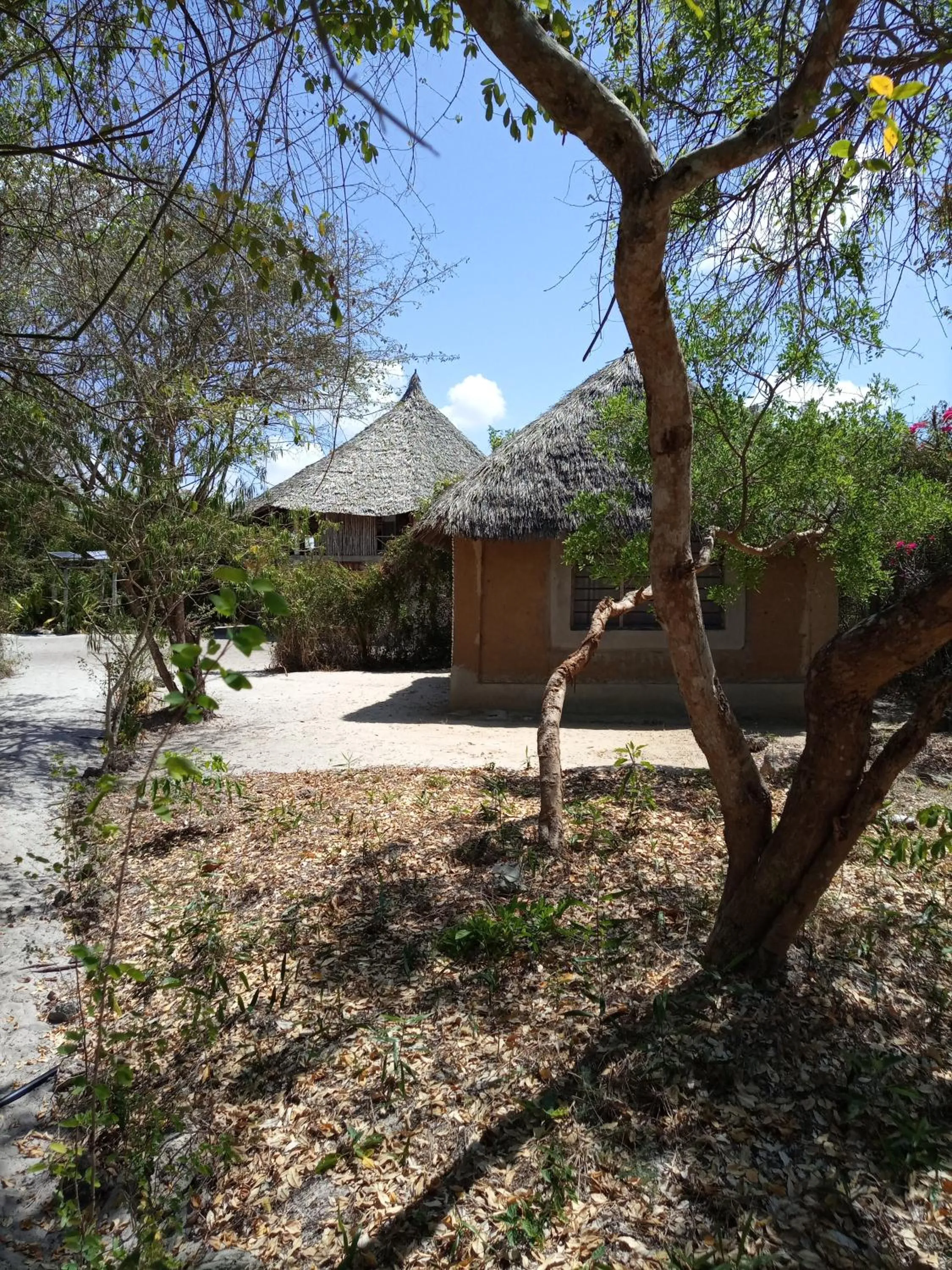 Property building in Mida Creek Eco Camp