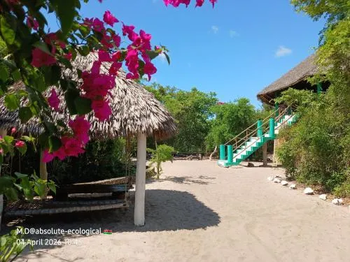 Mida Creek Eco Camp