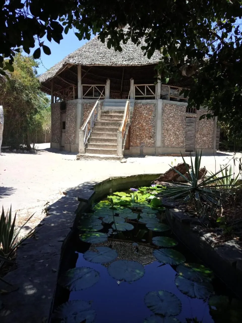 Restaurant/places to eat in Mida Creek Eco Camp