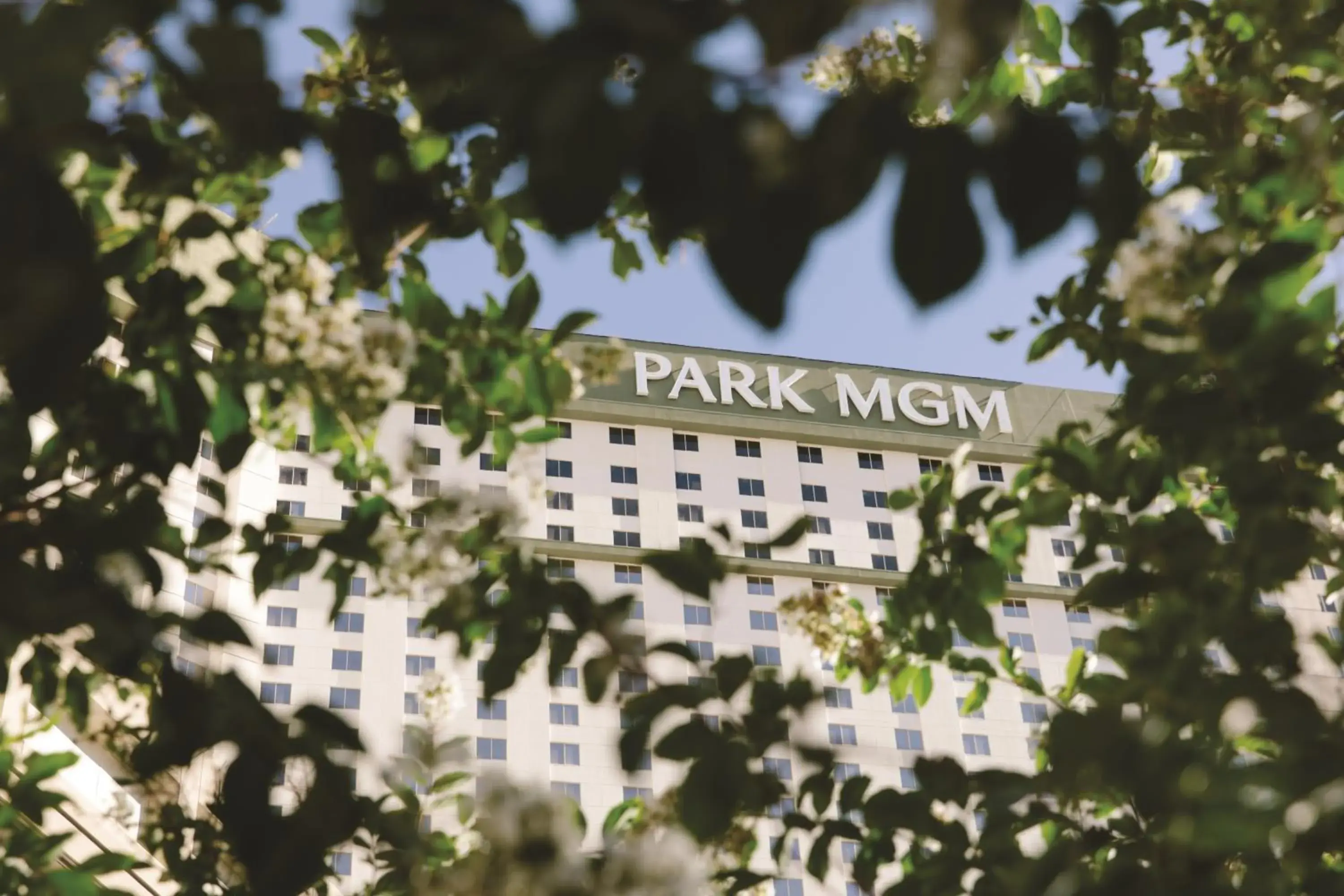 Property building in Park MGM Las Vegas Property building in Park MGM Las Vegas