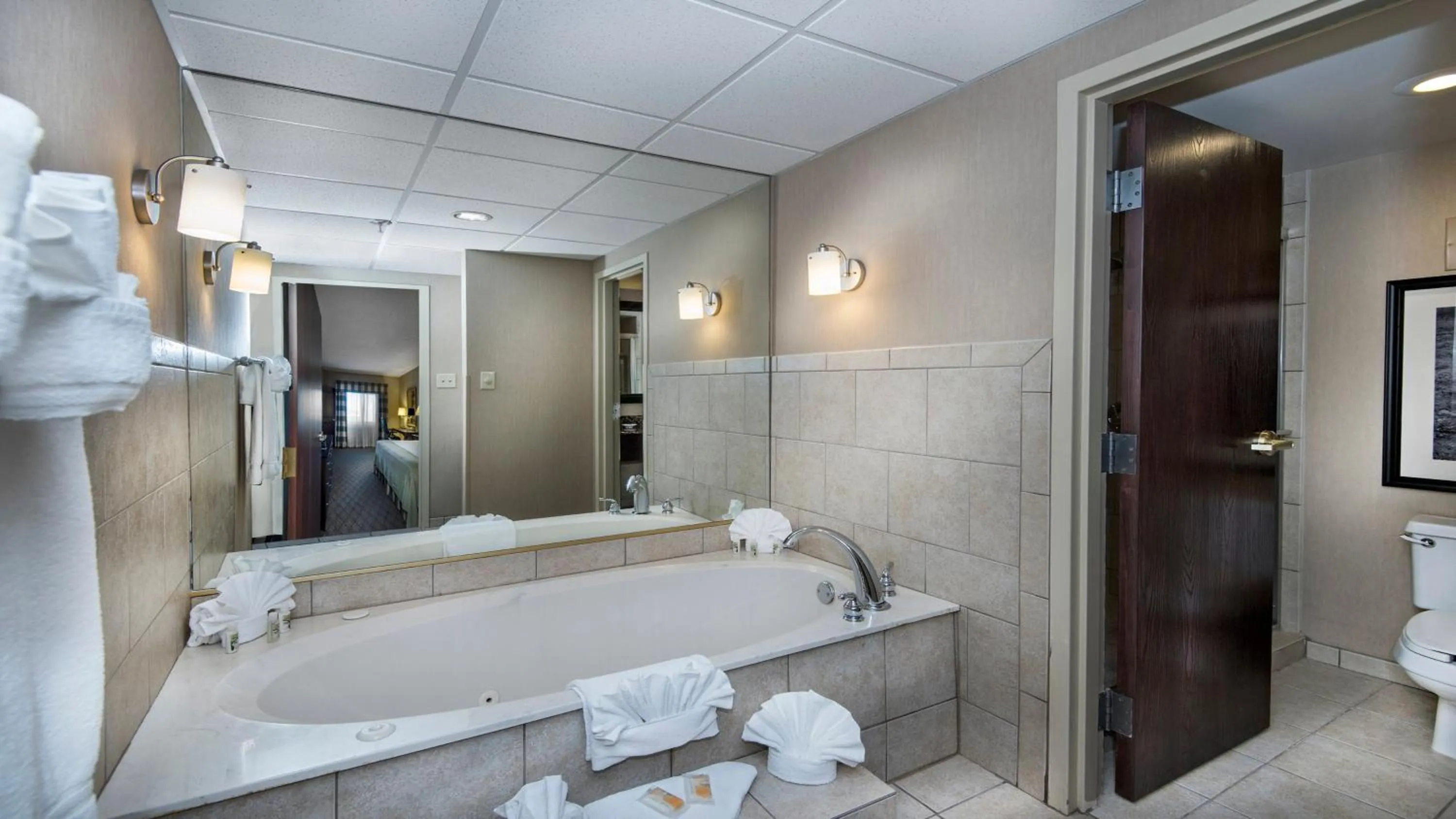 Bathroom in Holiday Inn Springdale-Fayetteville Area by IHG