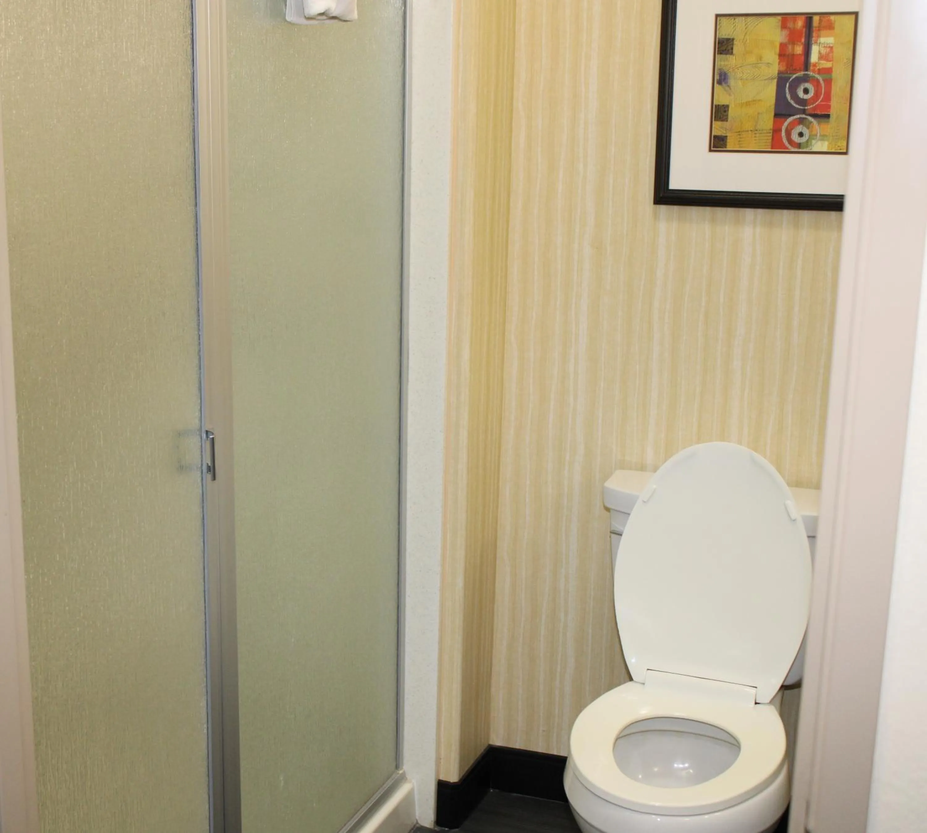 Toilet in Holiday Inn Hotel & Suites Waco Northwest by IHG
