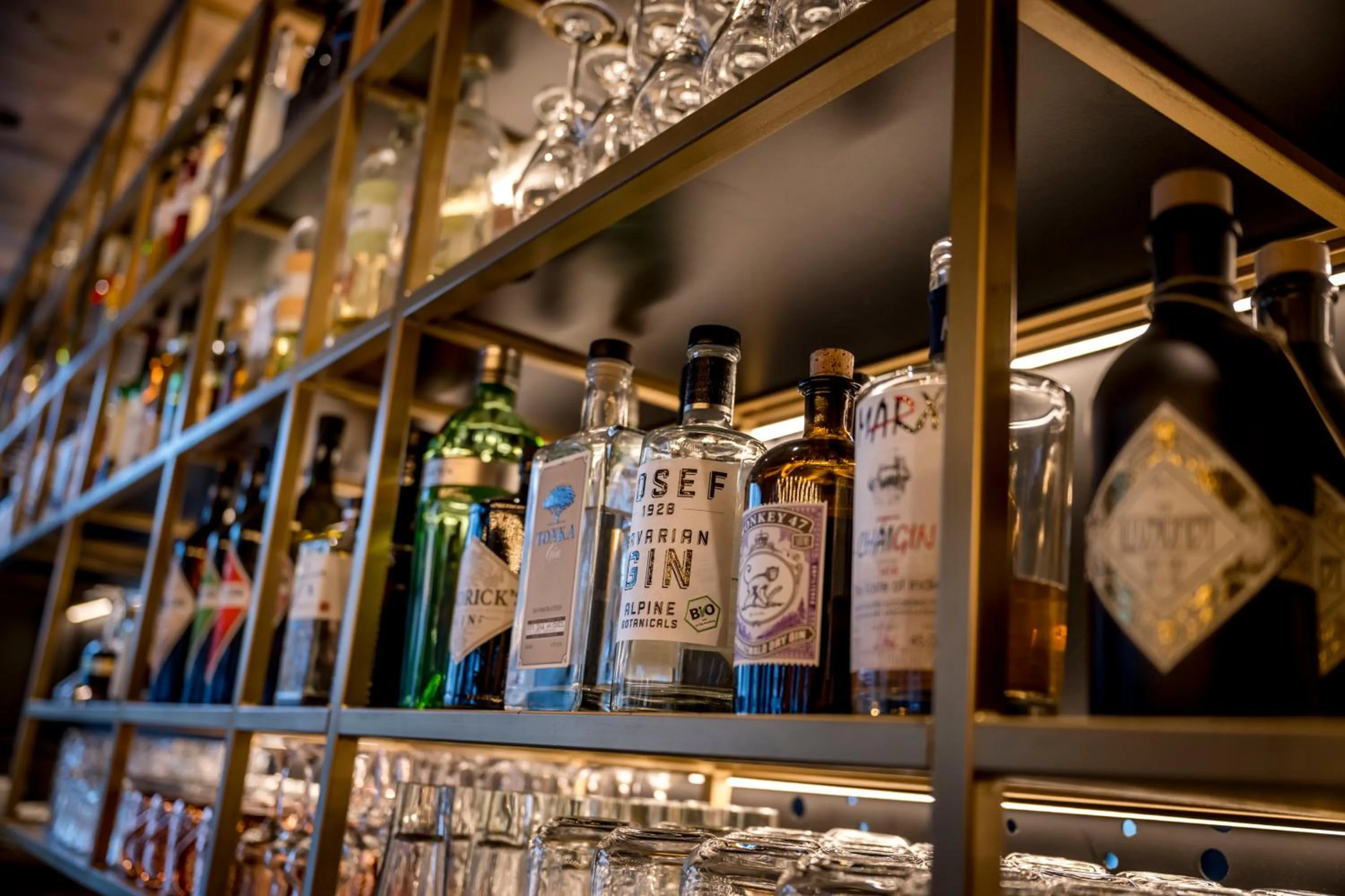 Lounge or bar in WITTMANNs