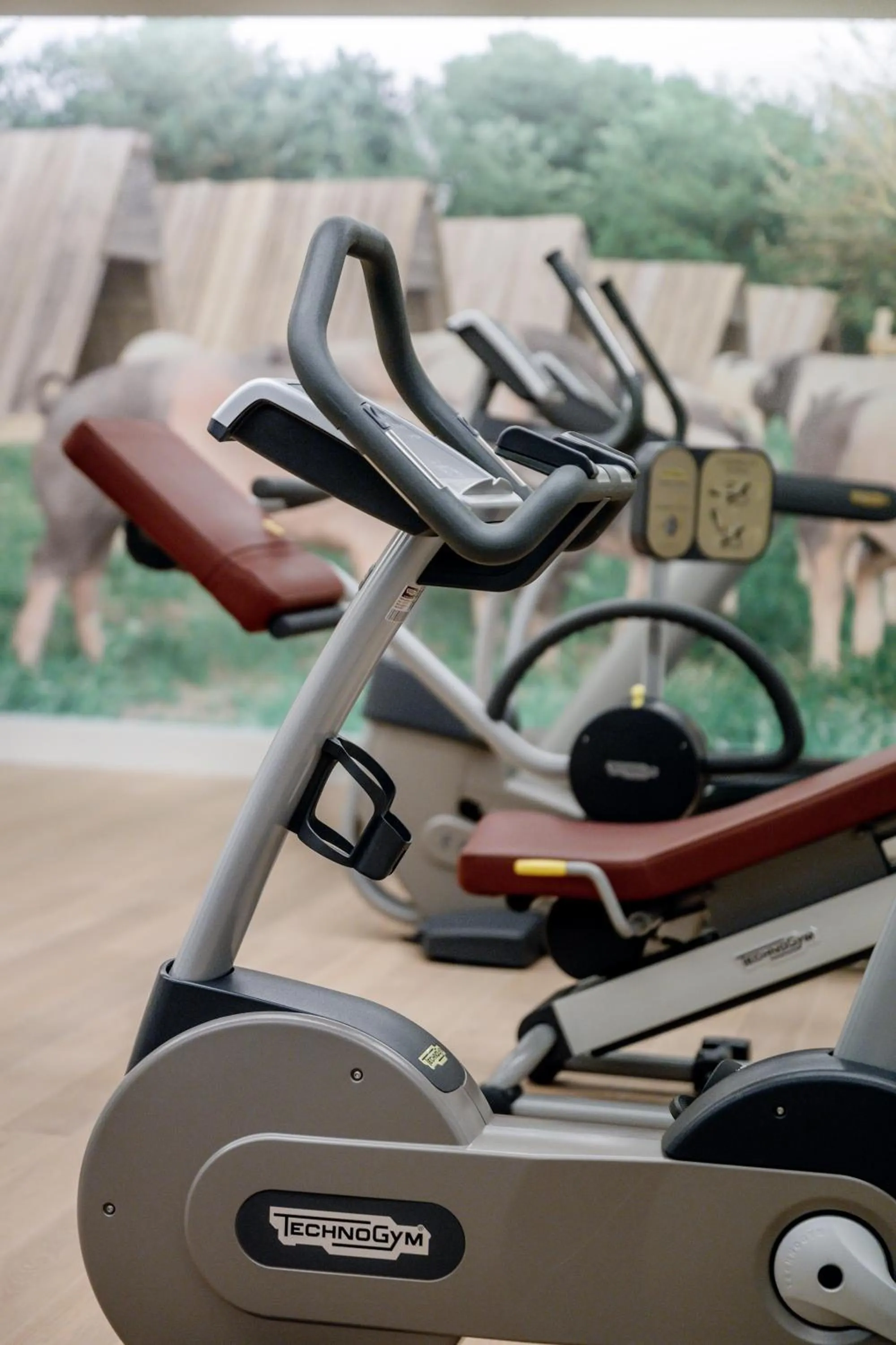 Fitness centre/facilities in WITTMANNs